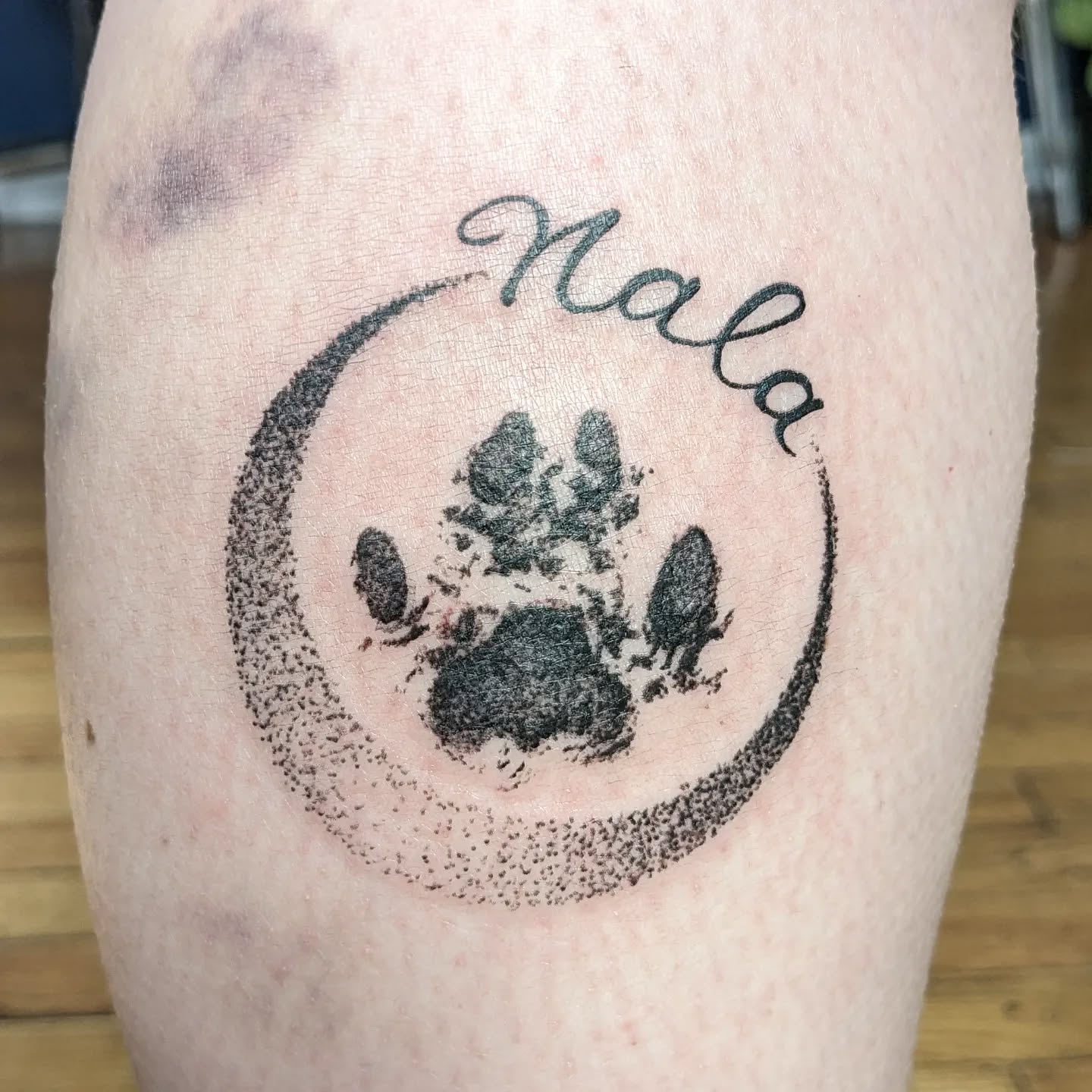 Cat Paw Print Circle