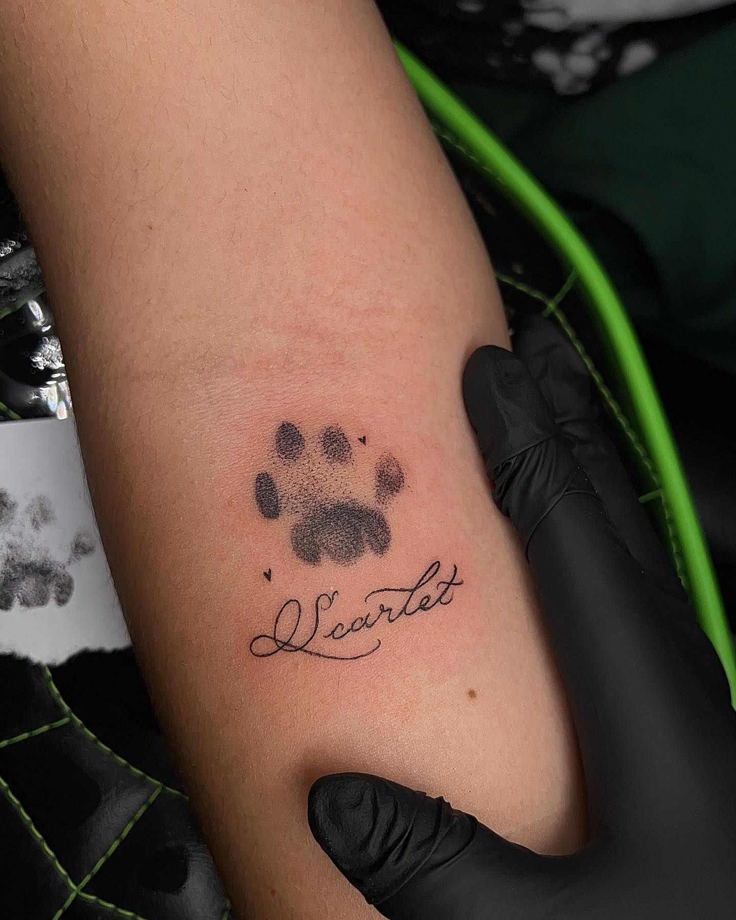 Cat Paw Print Tribute