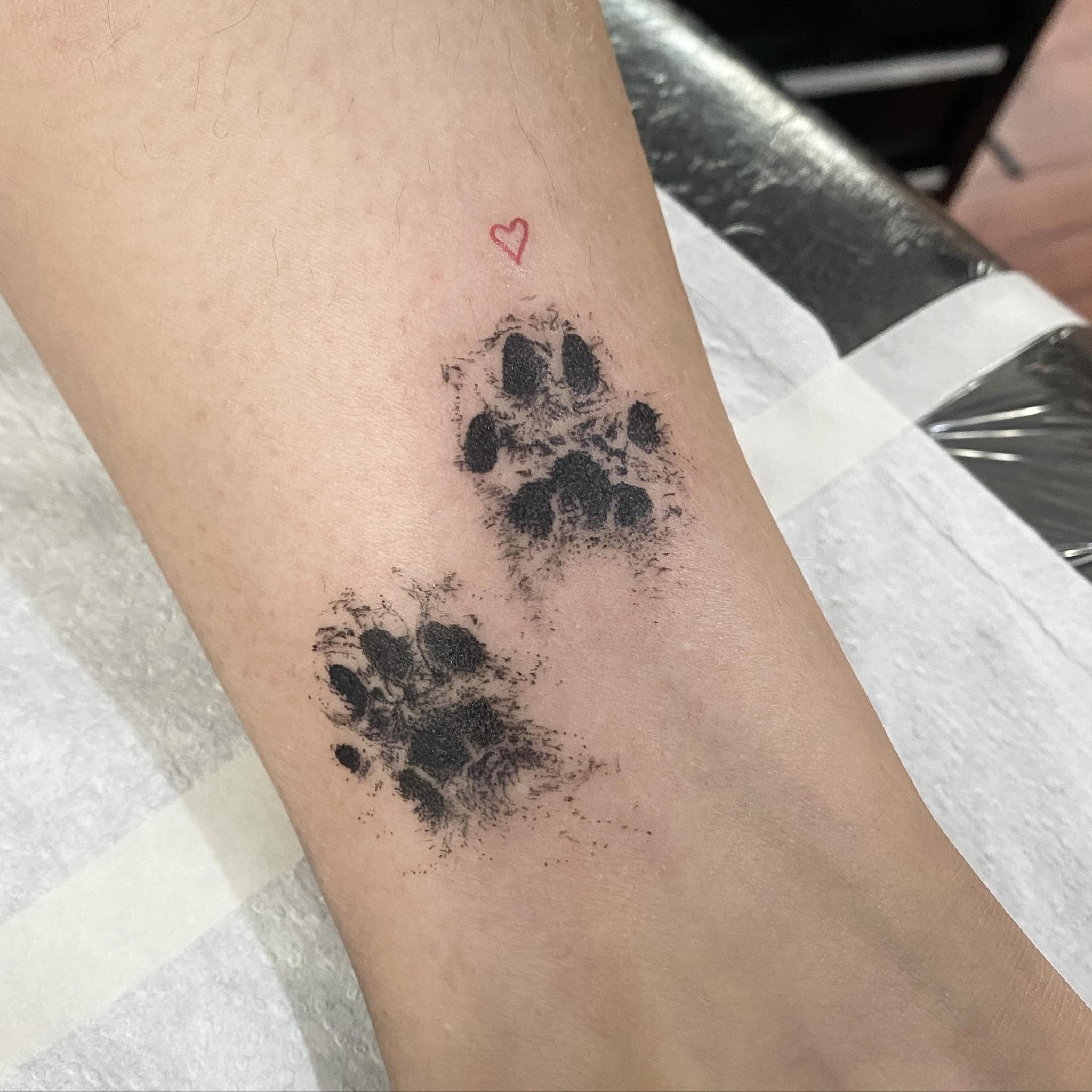 Cat Paw Print Tattoo