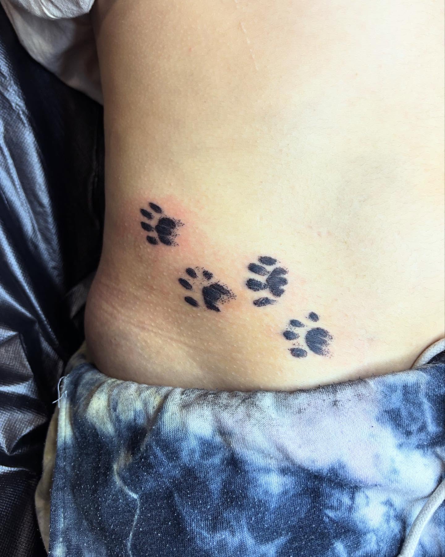 Cat Paw Print Trail