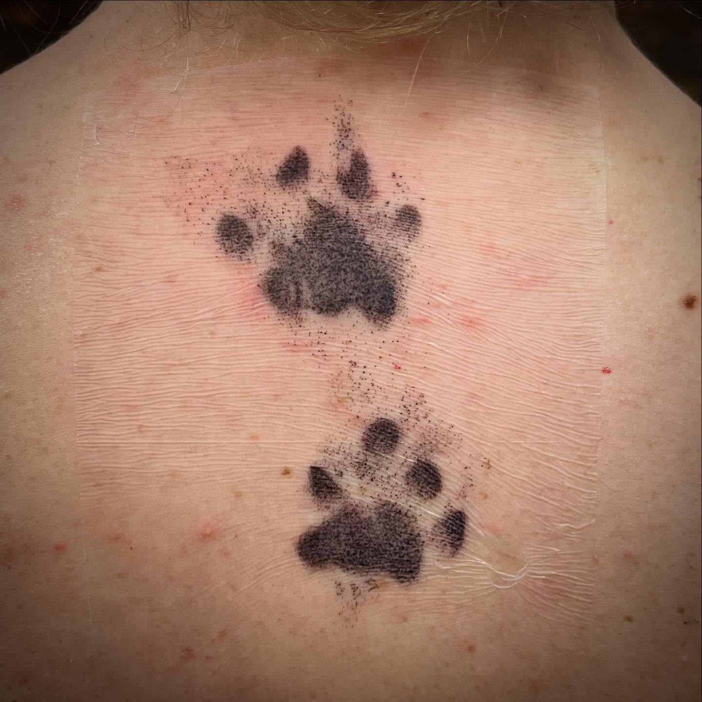 Cat Paw Prints