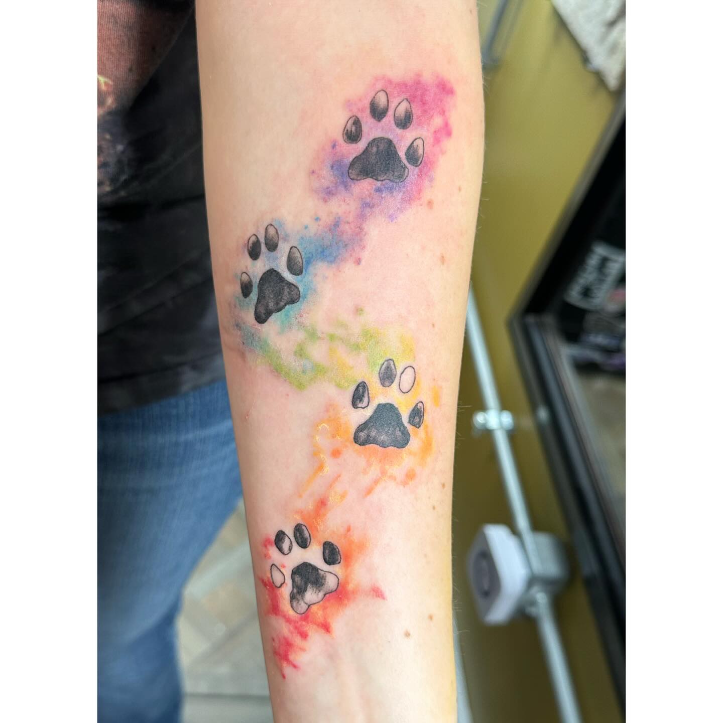 Colorful Cat Paw Prints