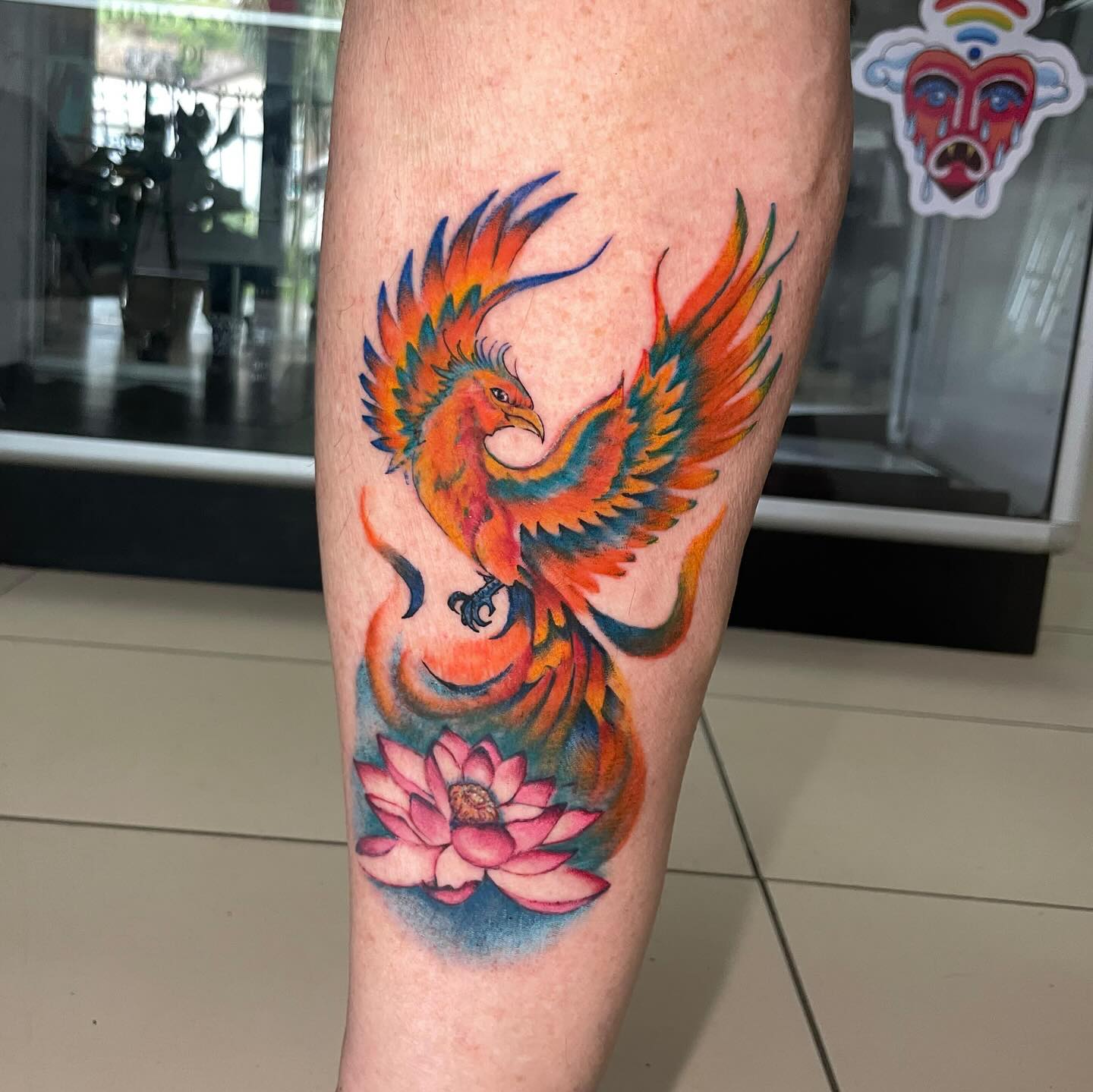Ave Fénix Colorida