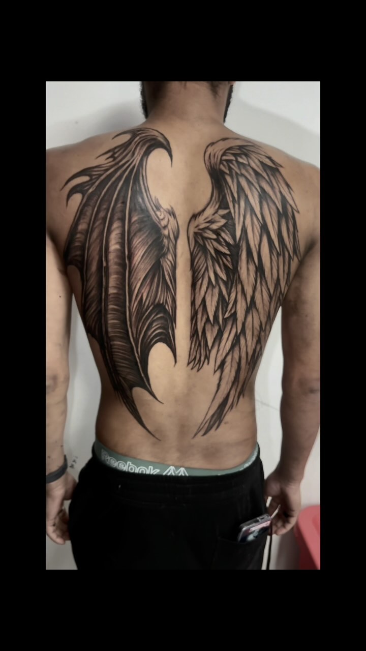 Contrasting Angel and Demon Wings