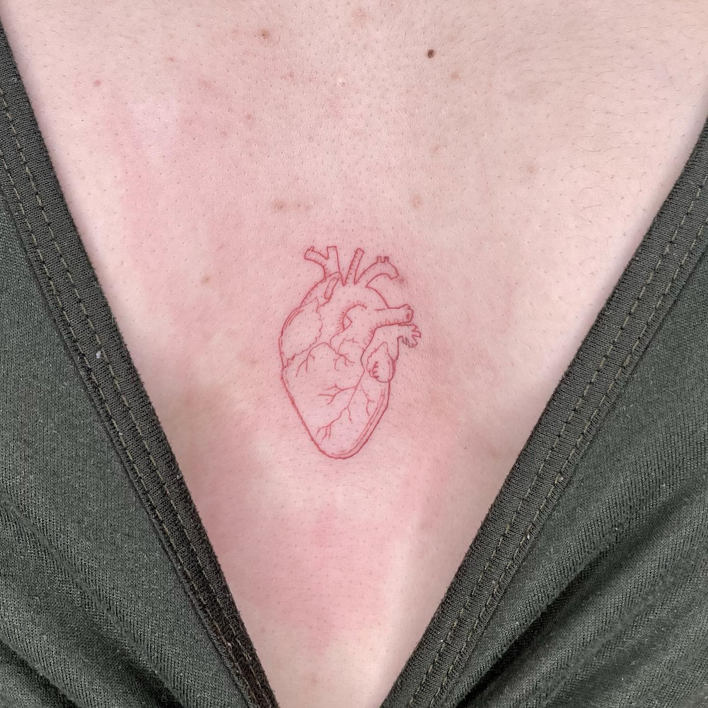 Corazón anatómico rojo