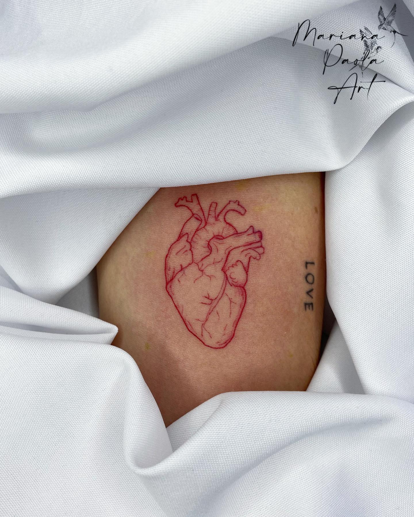 Corazón anatómico rojo