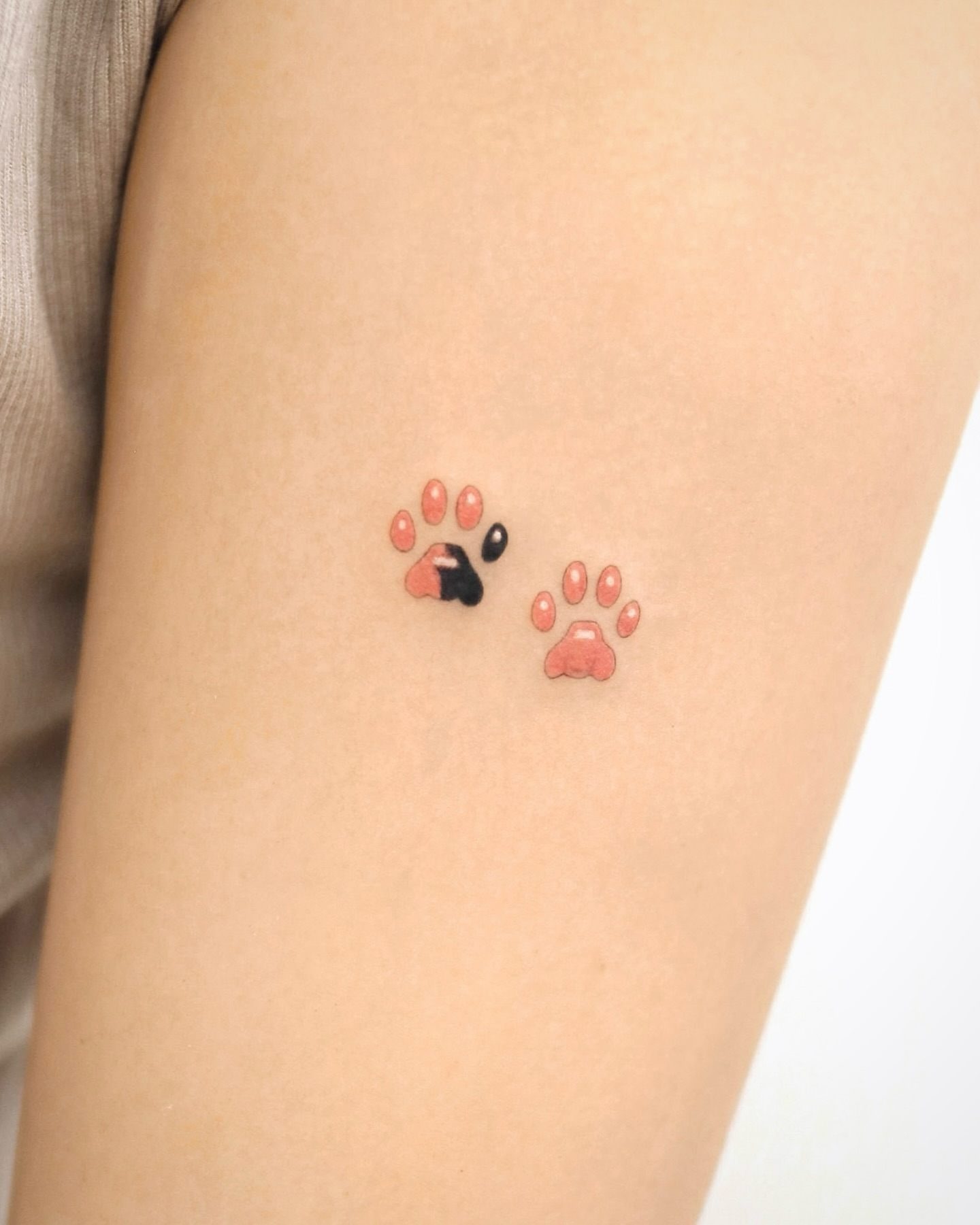 Cute Cat Paw Trio