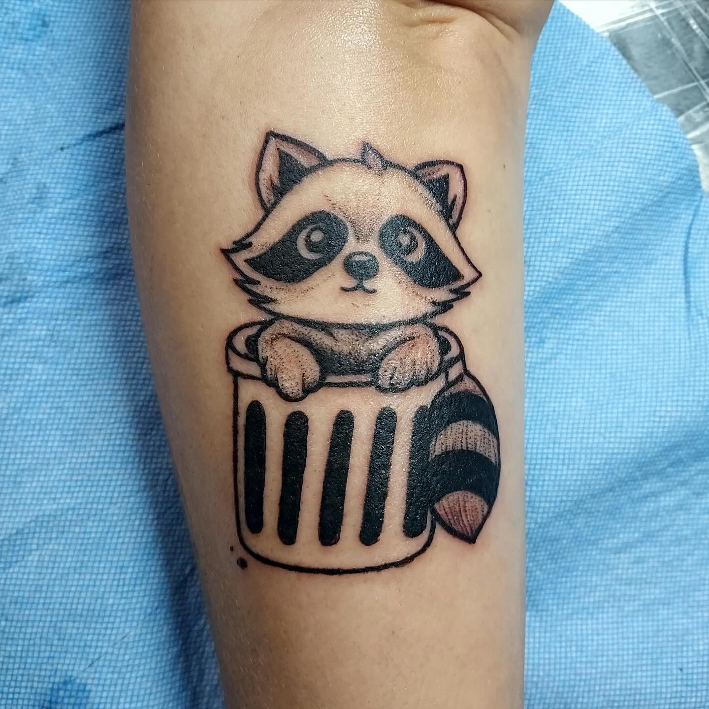 Cute Raccoon in Bin