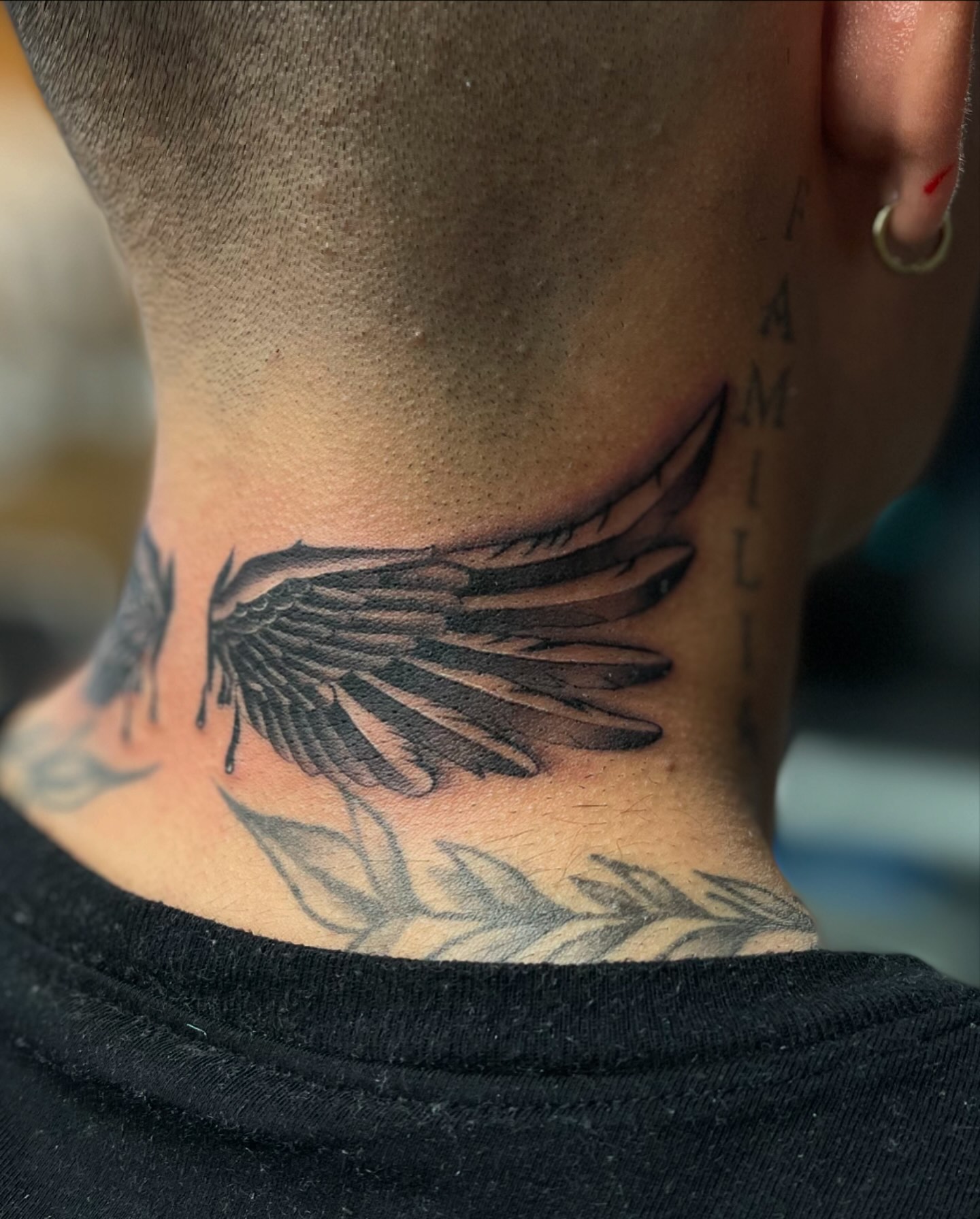Dark Angel Wings
