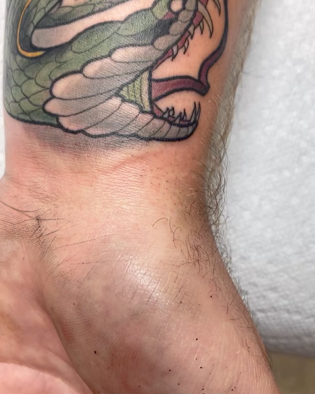 Snake Cauldron Death Eater