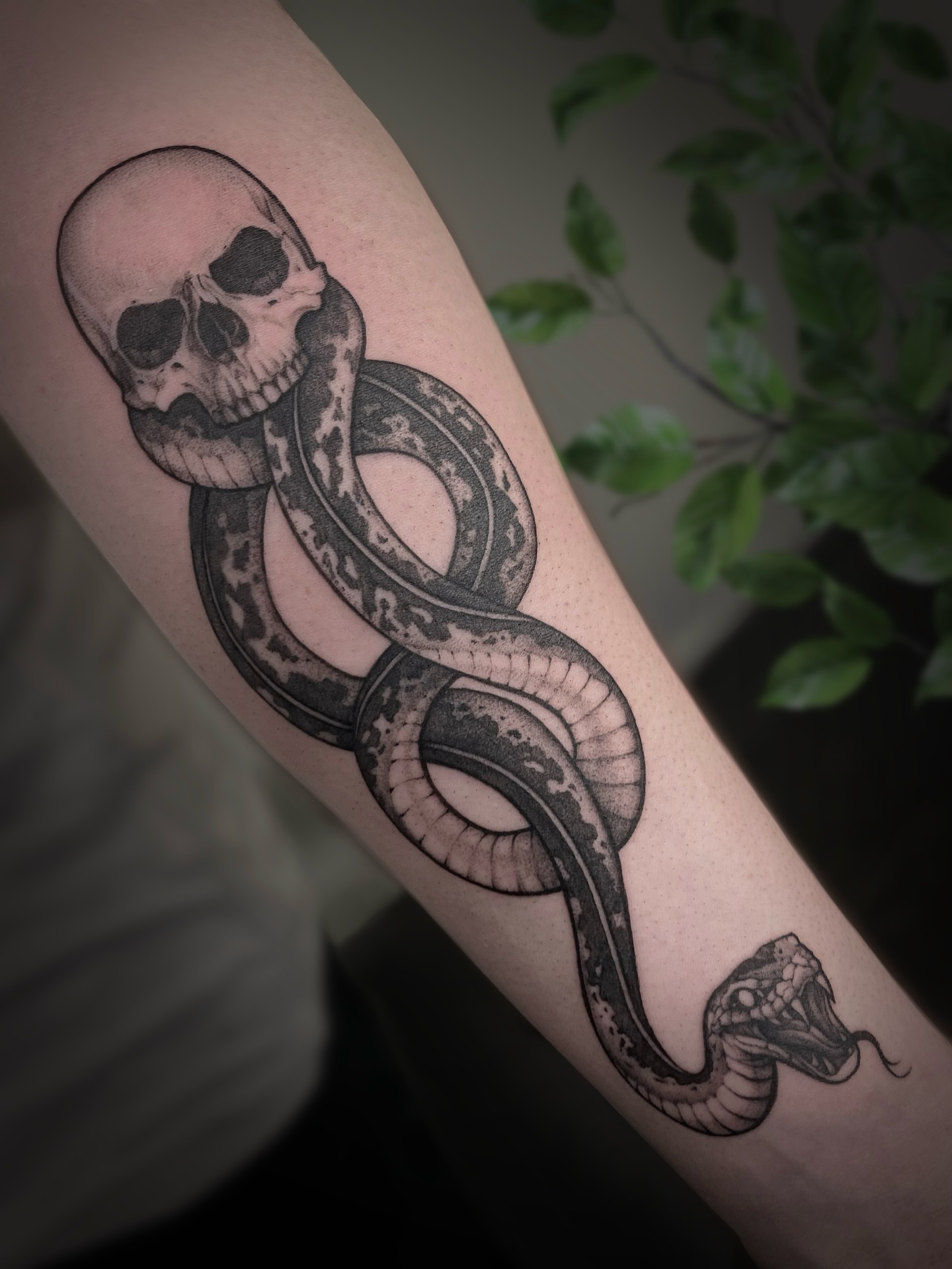 Skull with Dark Mark