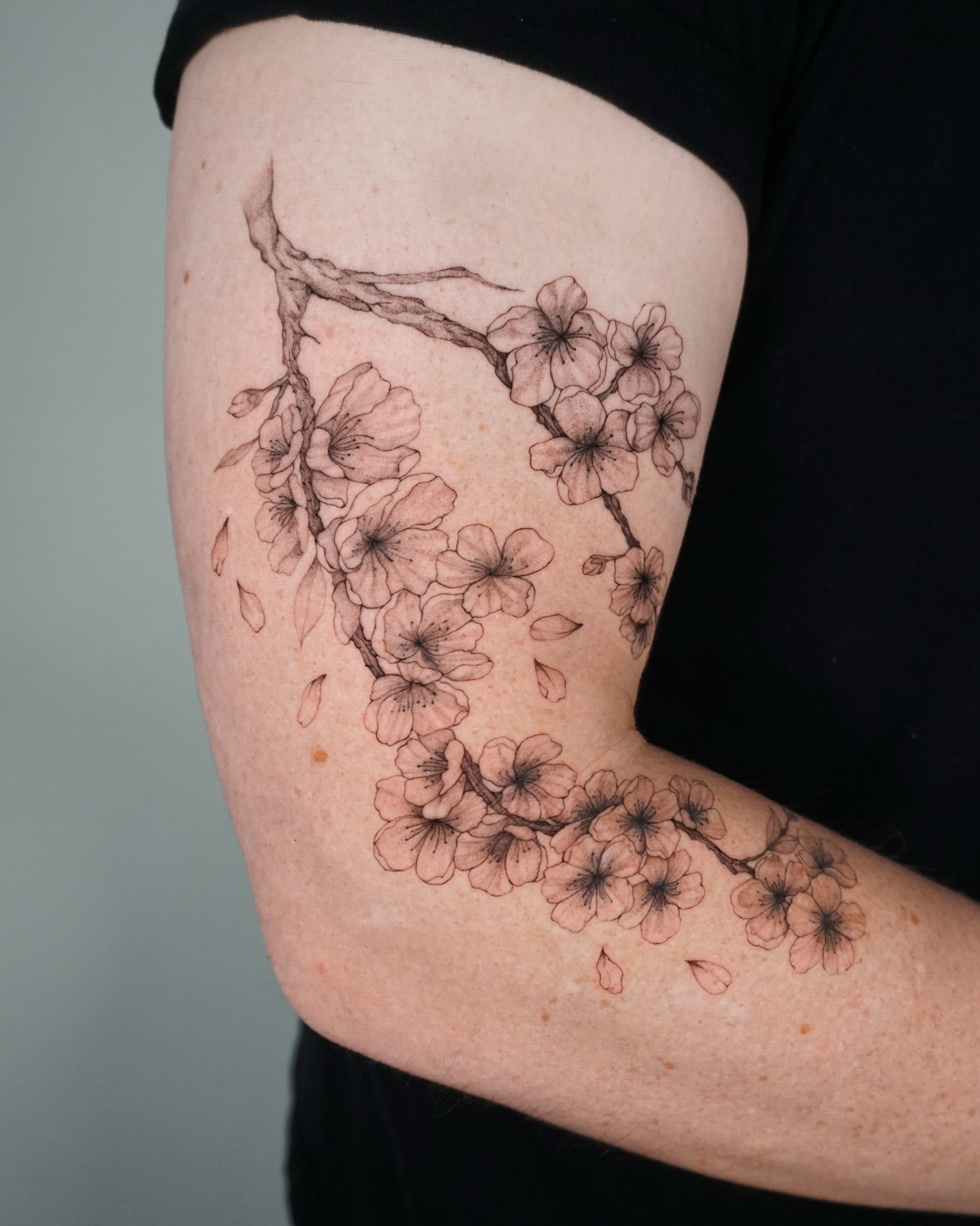 Delicate Cherry Blossom Tattoo