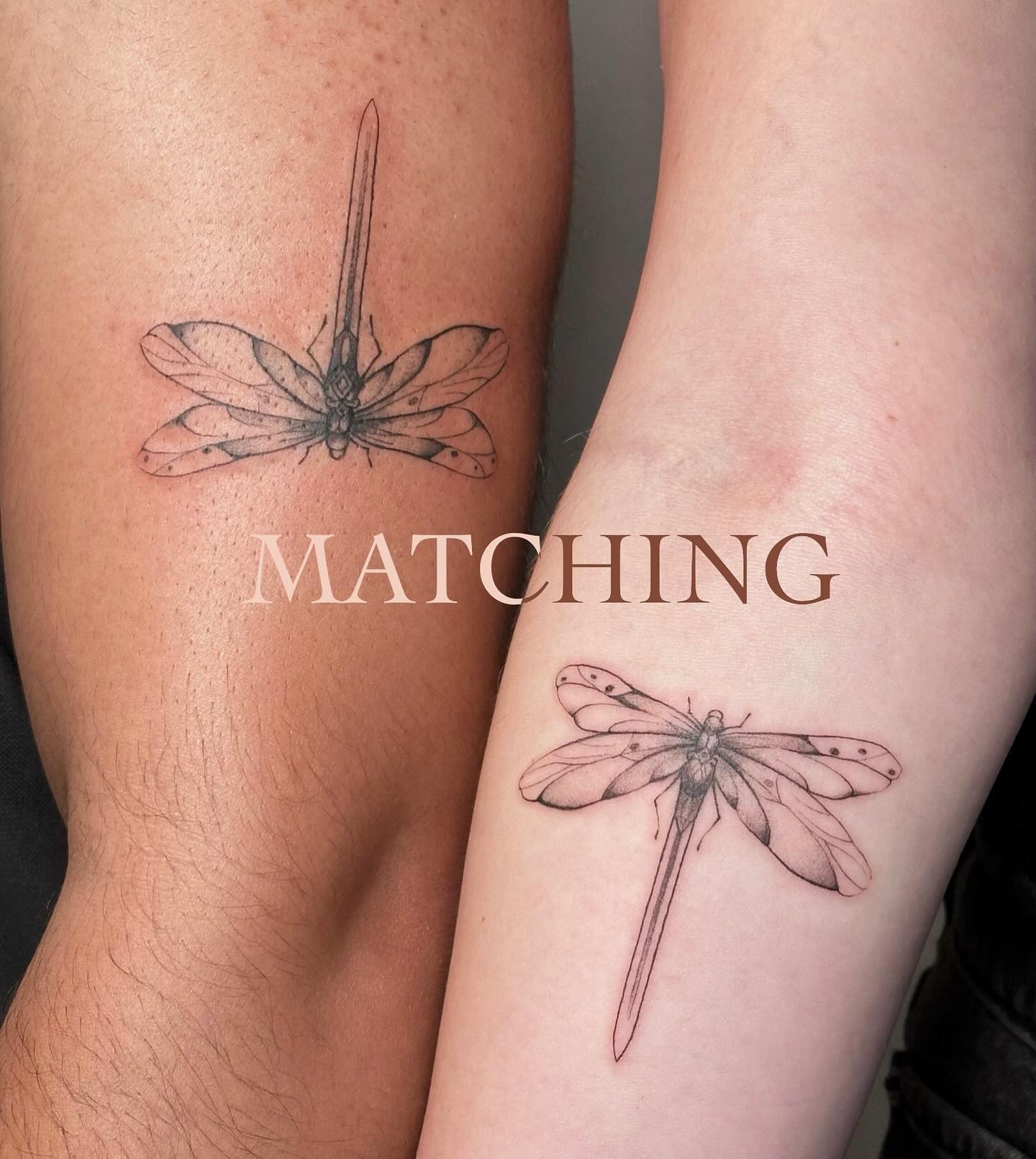 Delicate Matching Dragonflies