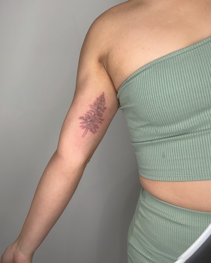 Delicate Pine Tree Tattoo