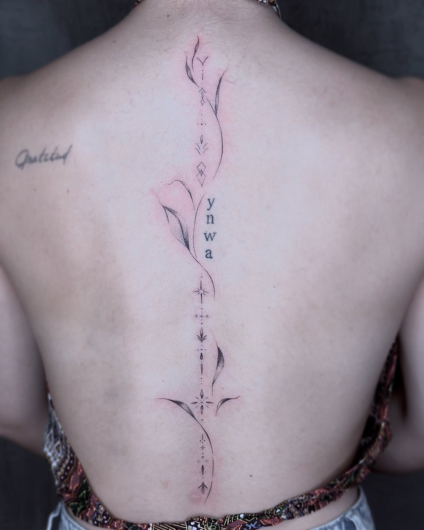 Delicate Spine Script