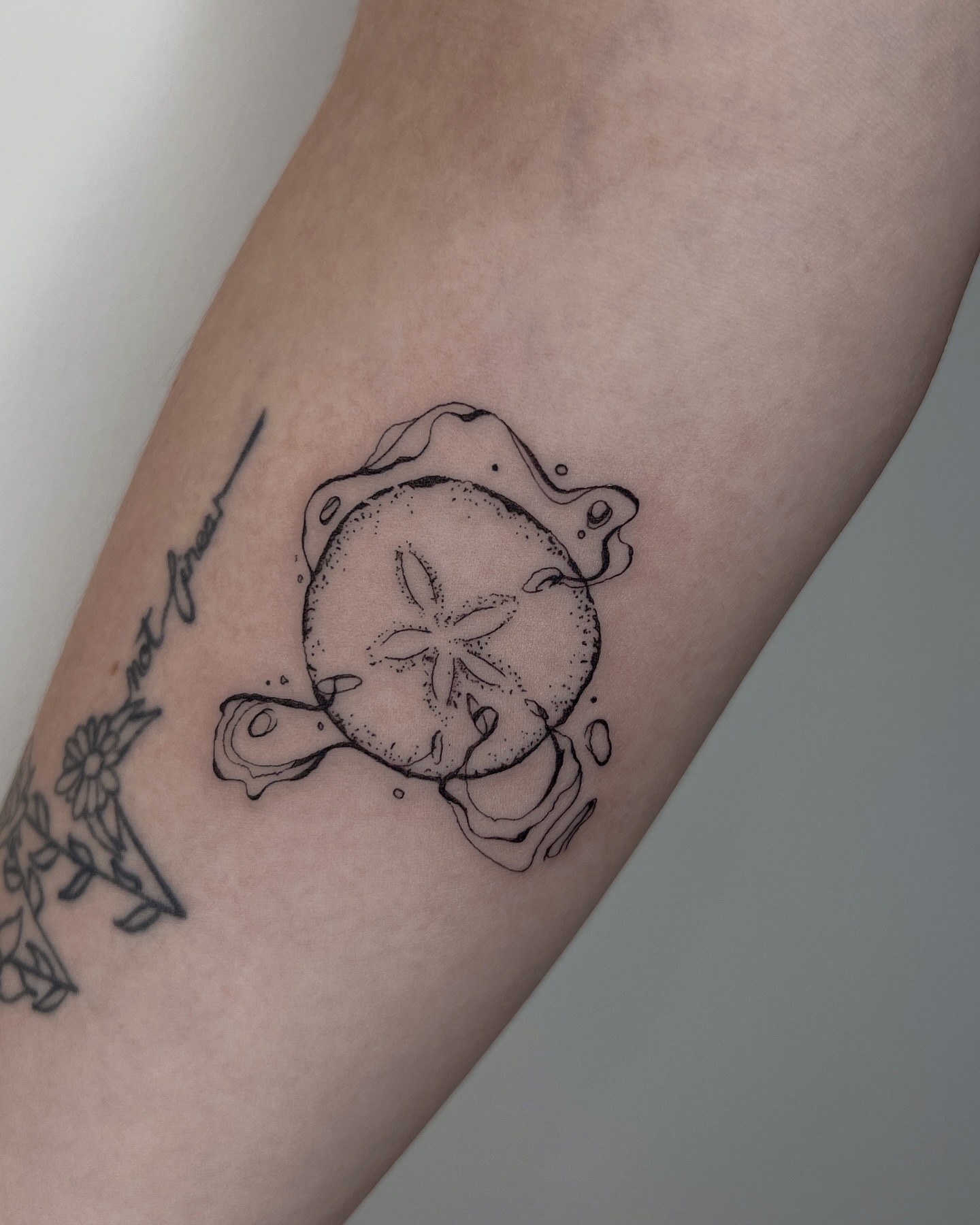 Dotwork Sand Dollar