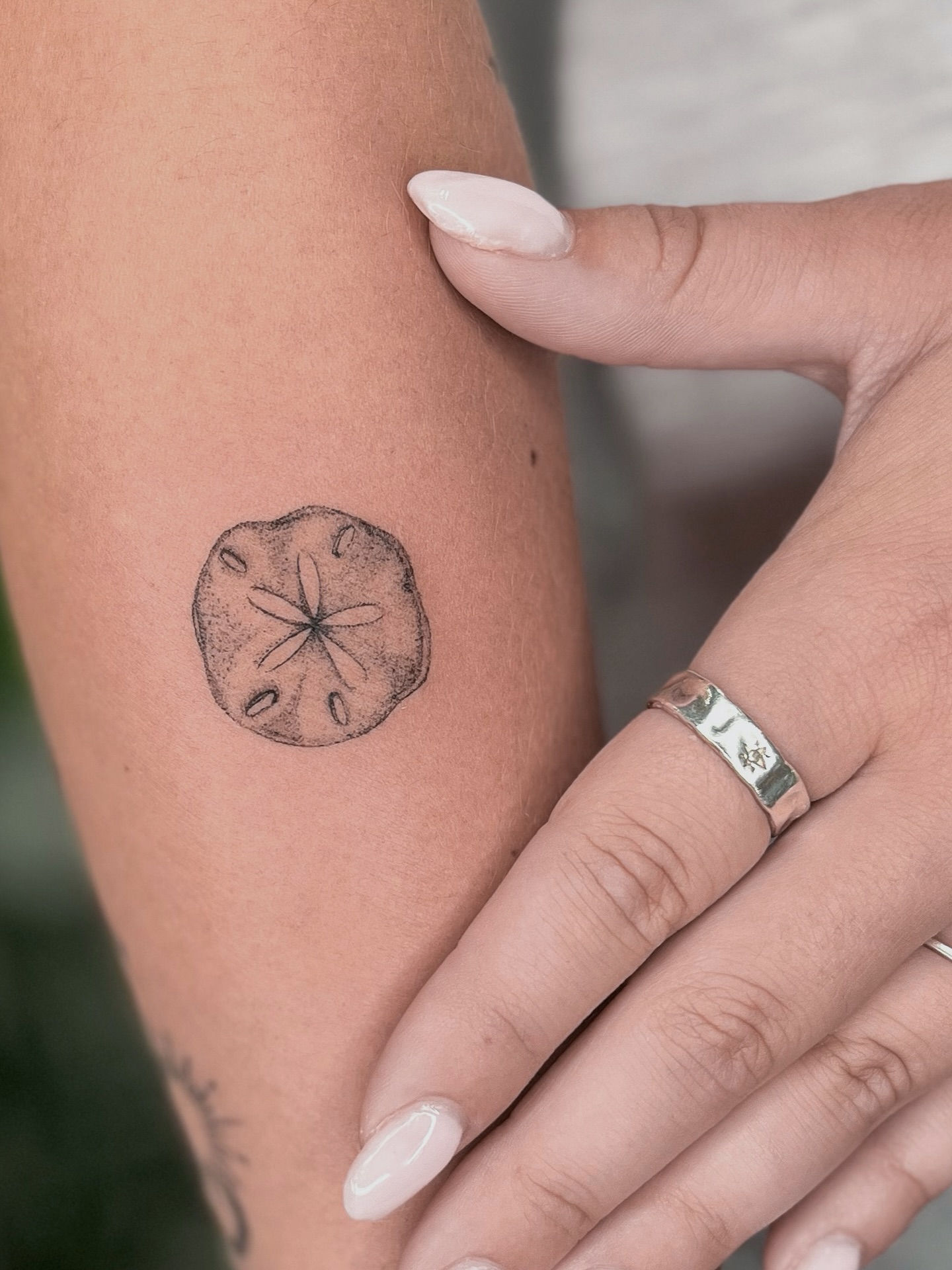 Dotwork Sand Dollar