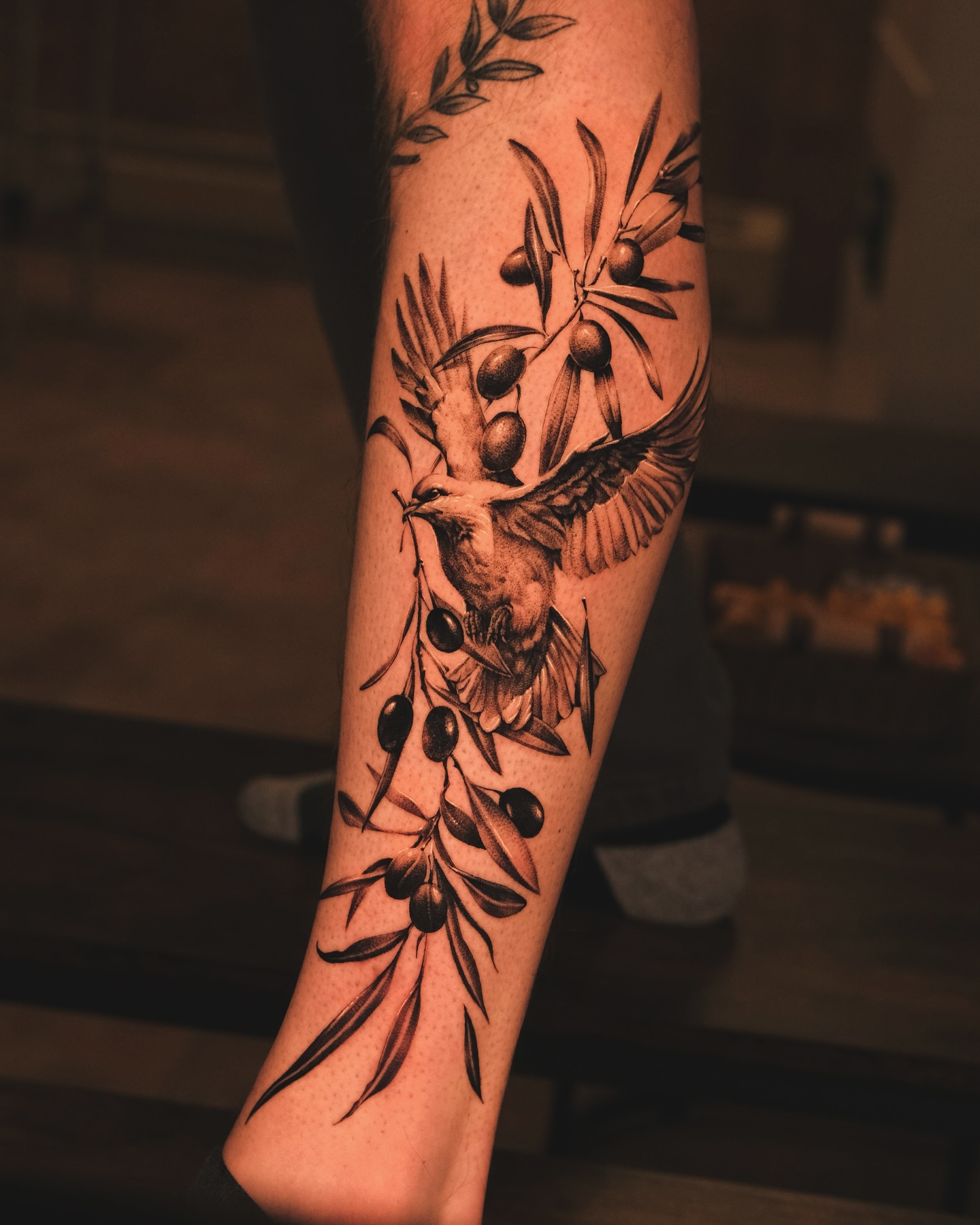 Dove and Olive Branch