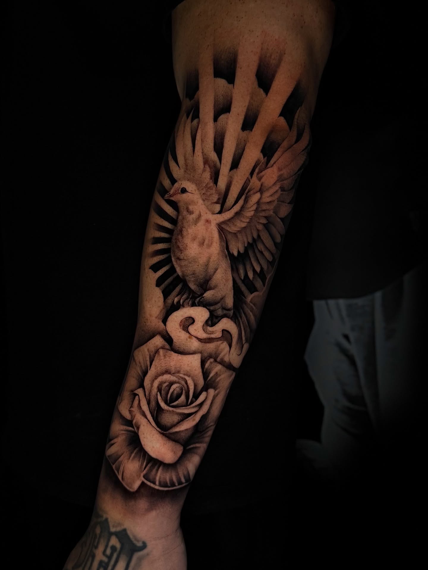 Dove and Rose Symbolism