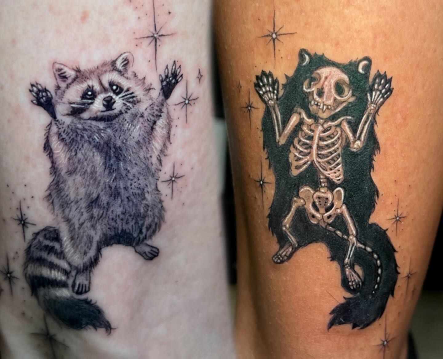 Dual Raccoon Reveal