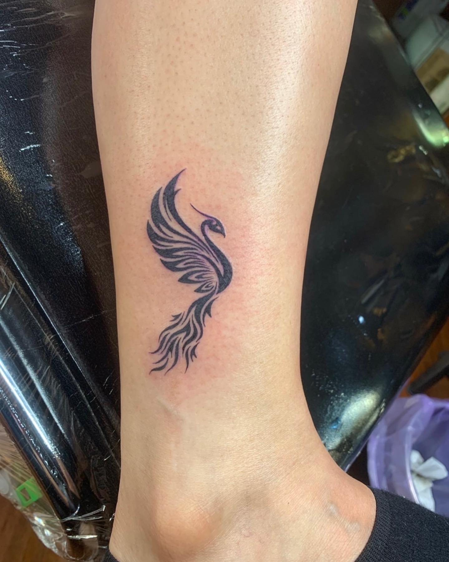 Elegant Phoenix Silhouette