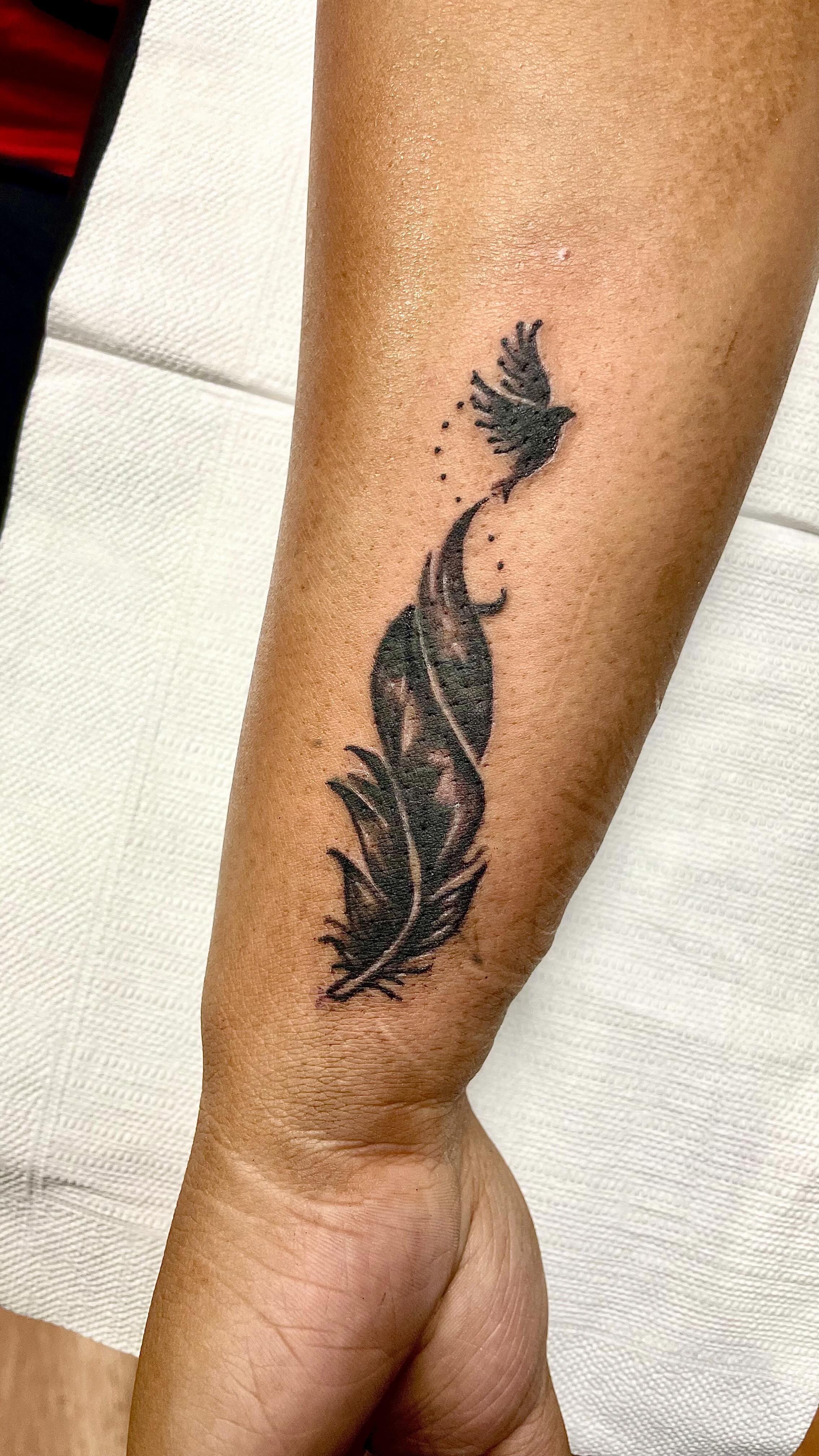 Feather and Bird Transition