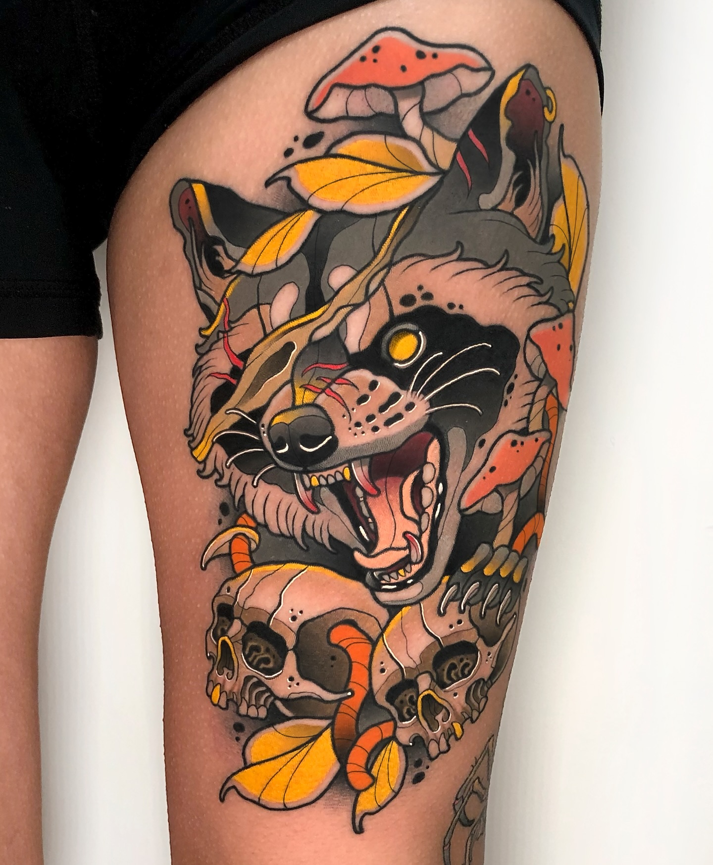 Fierce Raccoon with Skulls