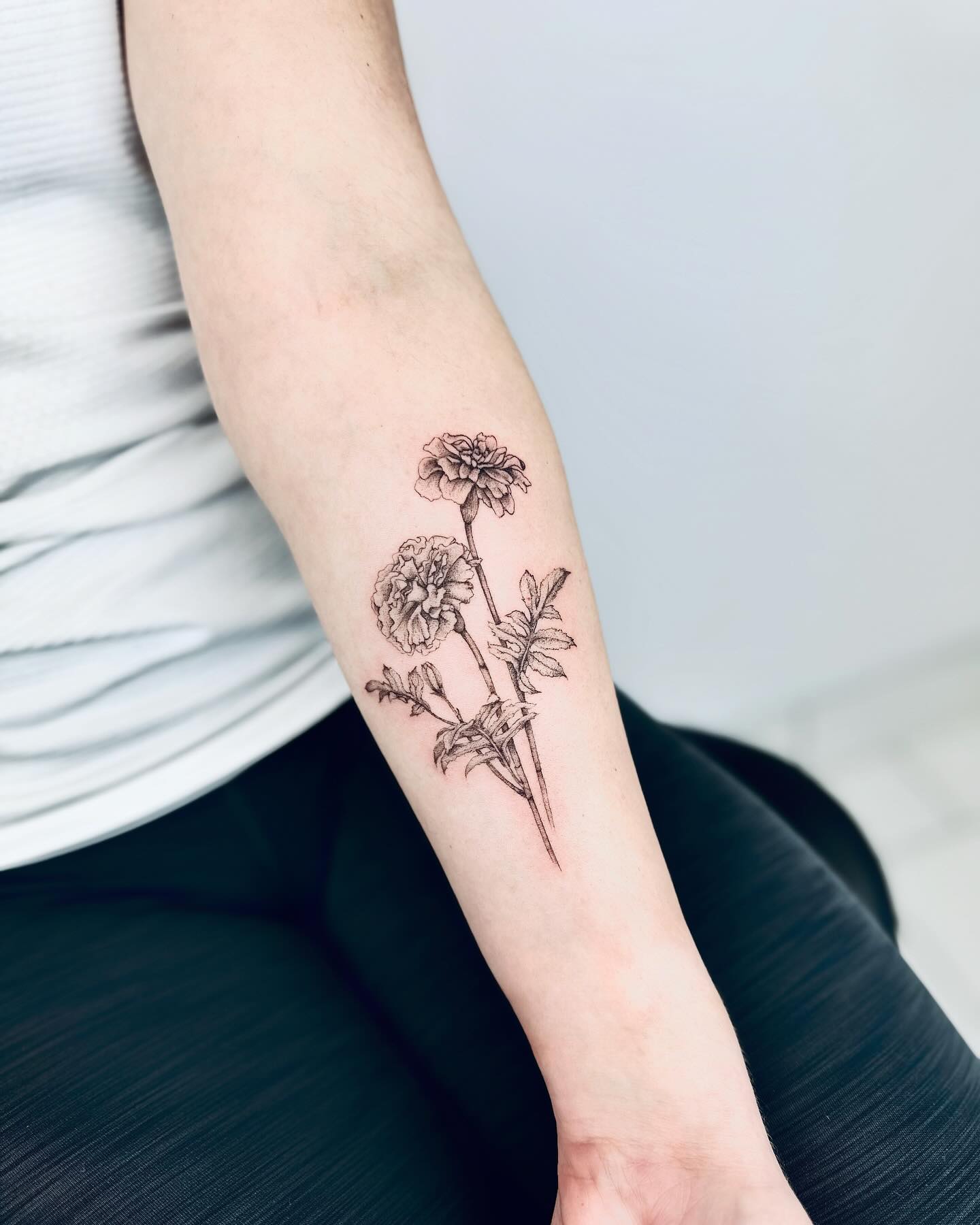 Fine-line Marigold Bloom