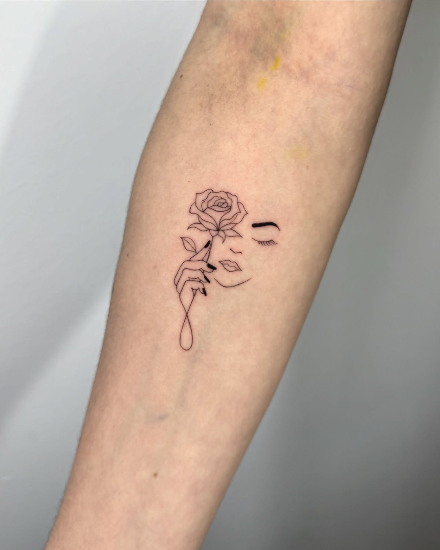 Rosa y Silueta