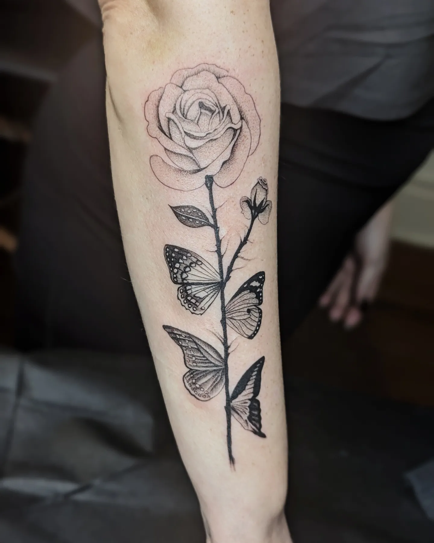 Rosebud with Butterflies