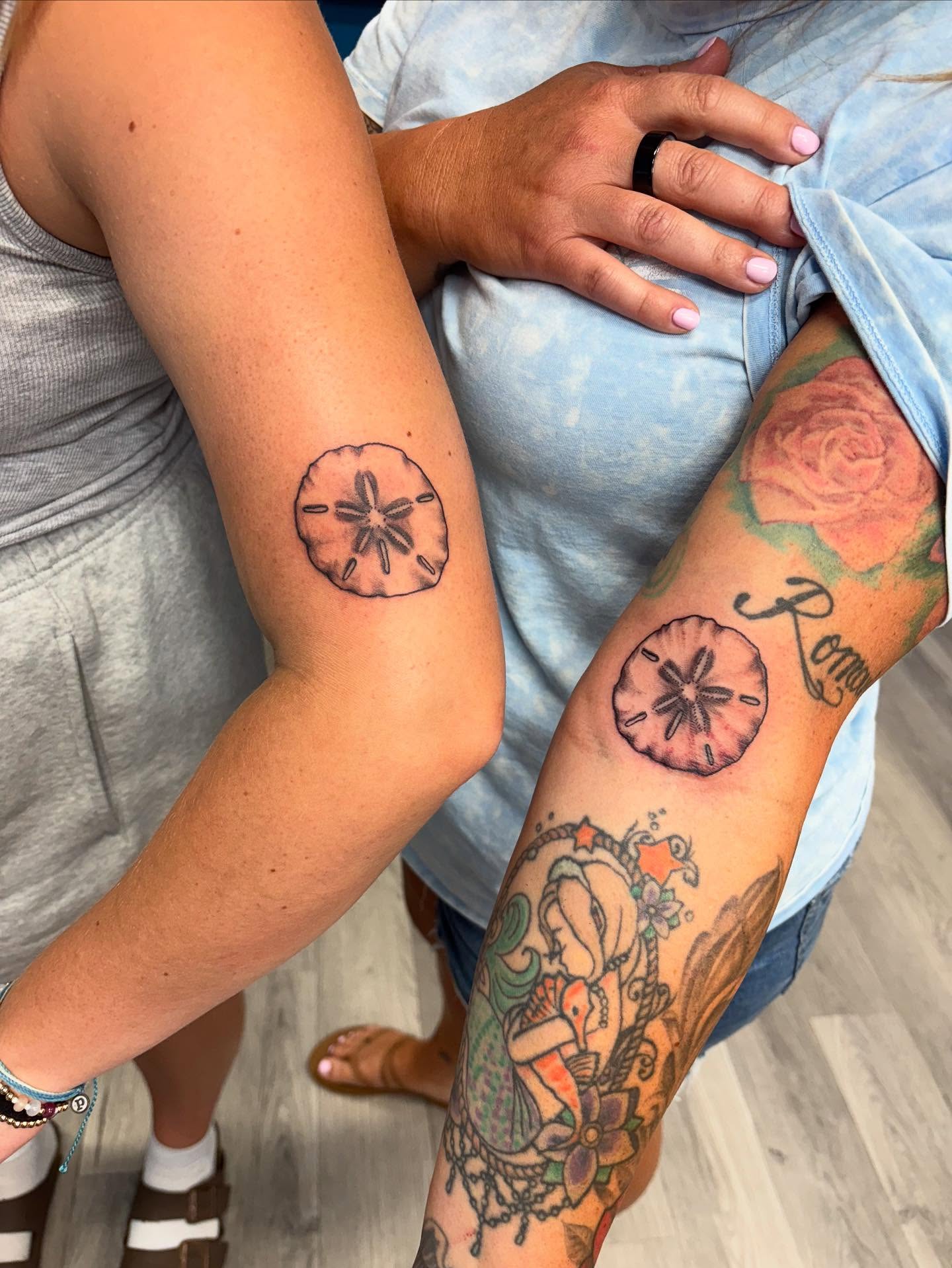 Sand Dollar Linework