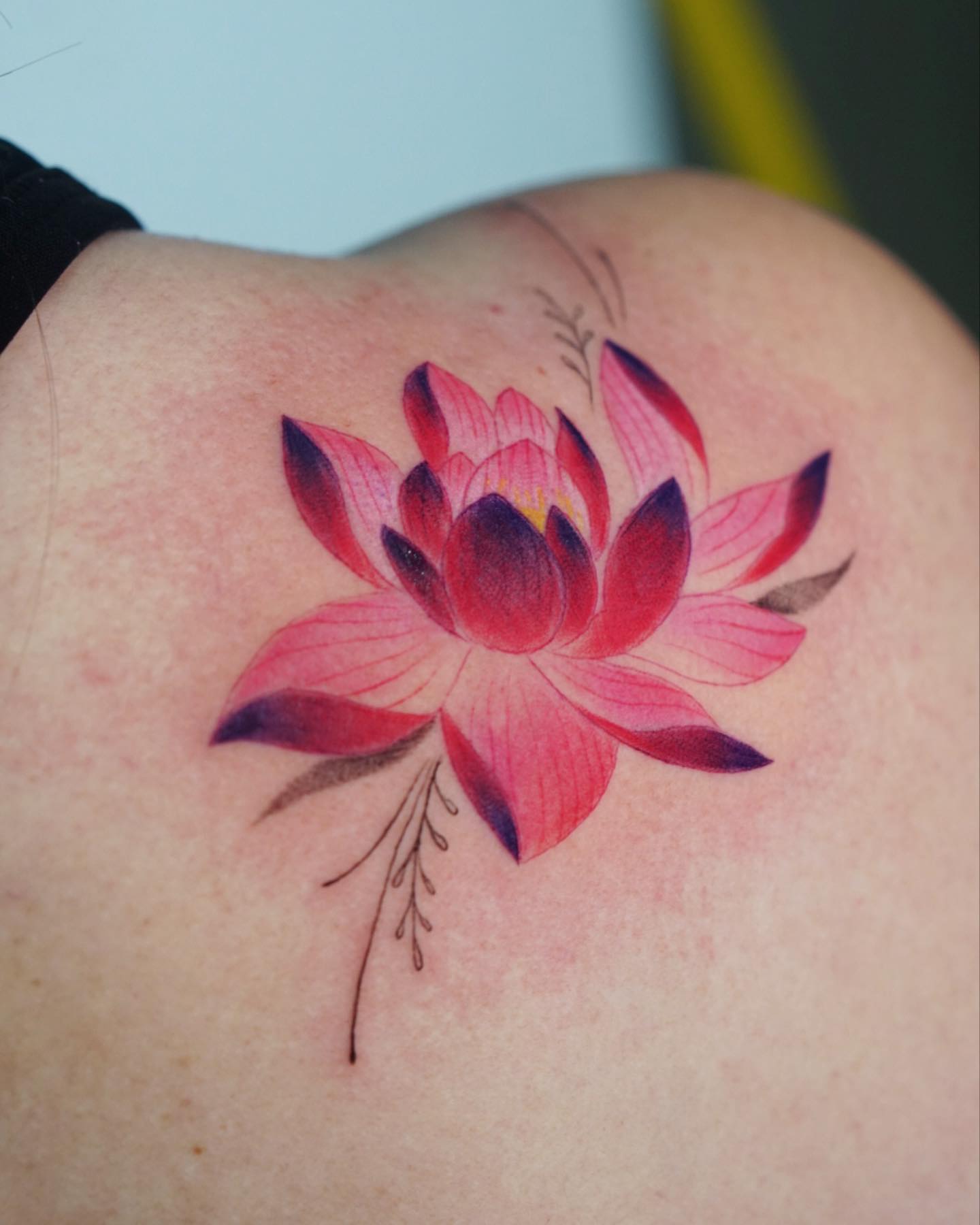 Flor de Loto Acuarela