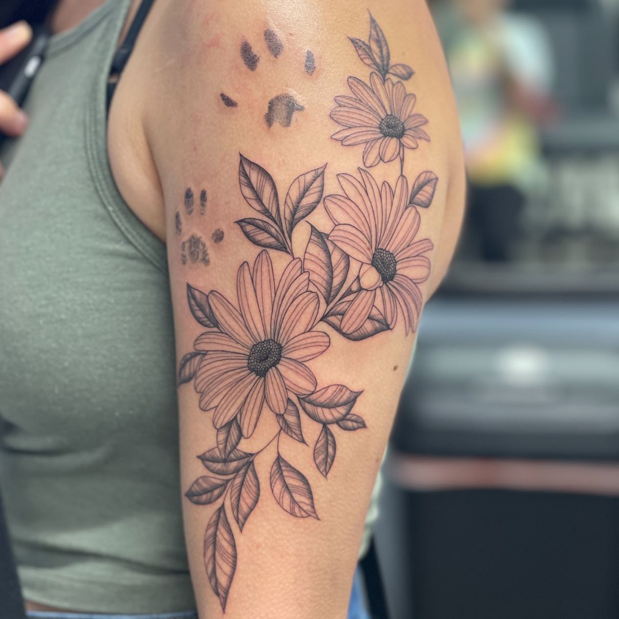 Floral Cat Paw Prints