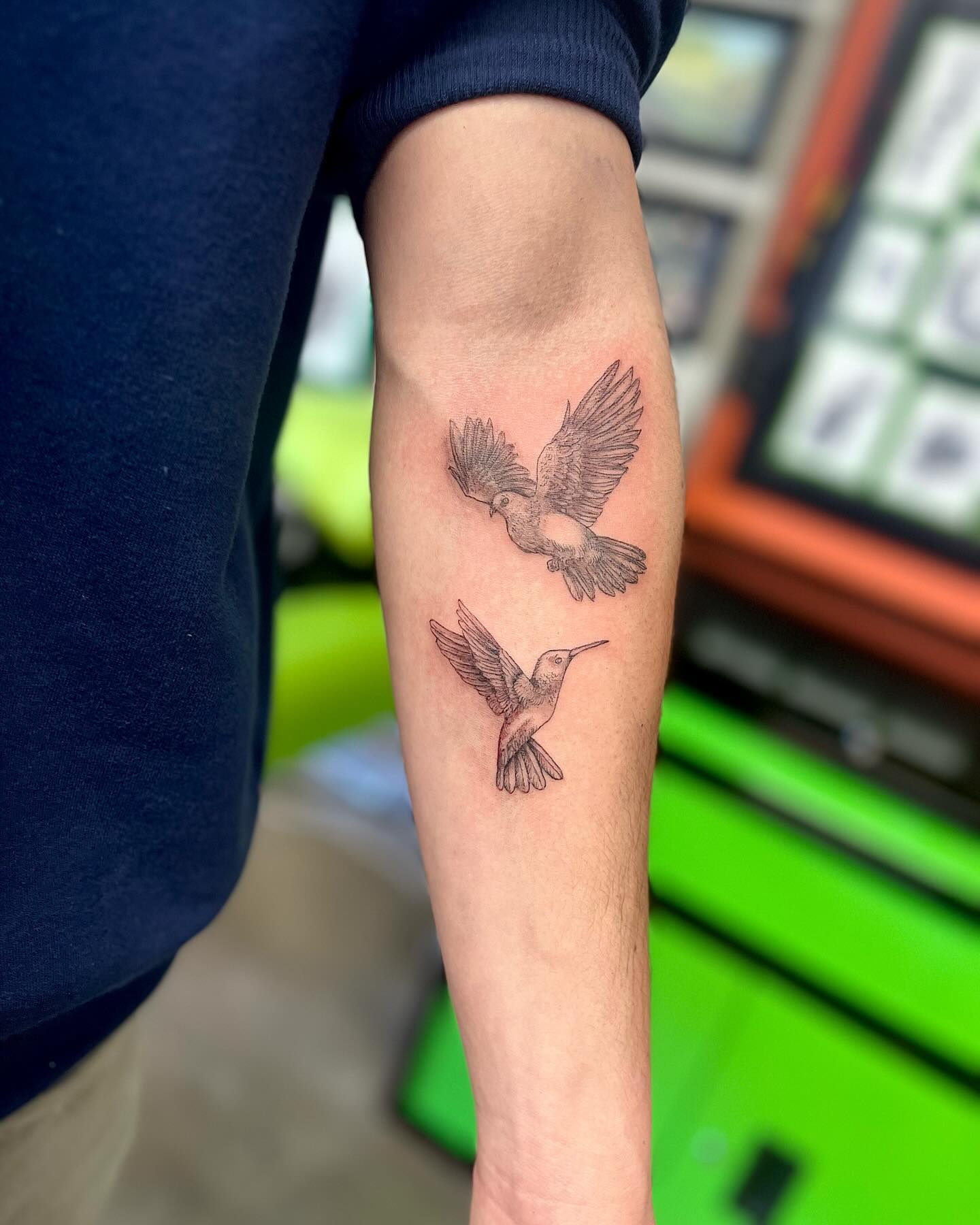 Flying Dove and Hummingbird