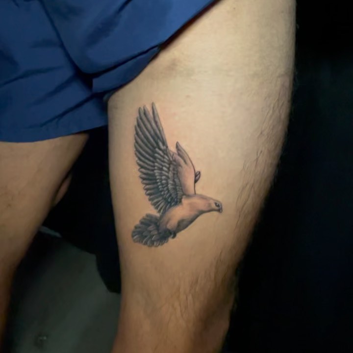 Flying Dove Tattoo