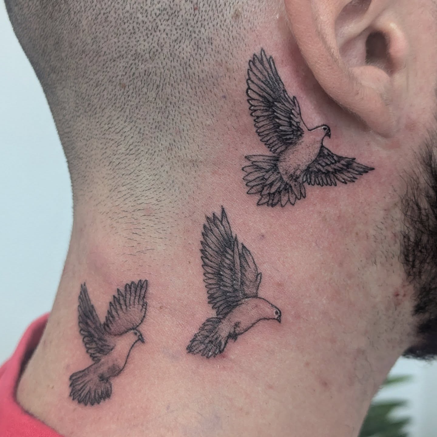Flying Dove Trio Tattoo