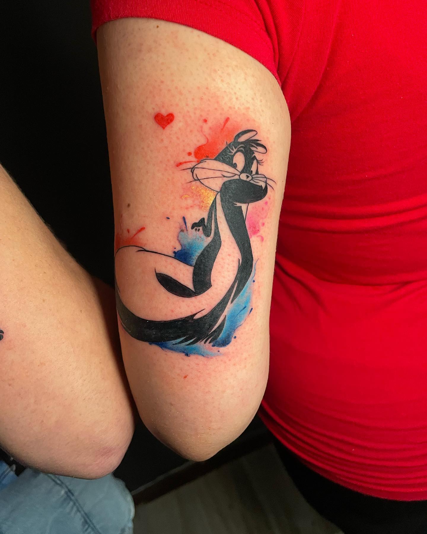 Gato y Corazón Pareja