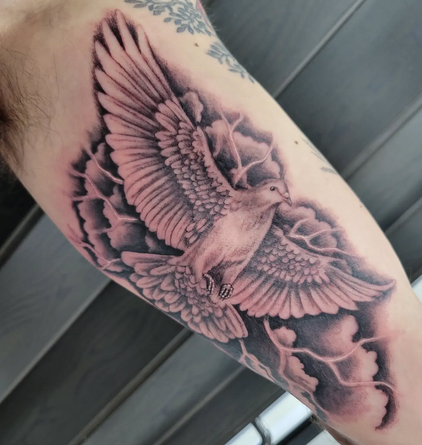 Graceful Dove Flight