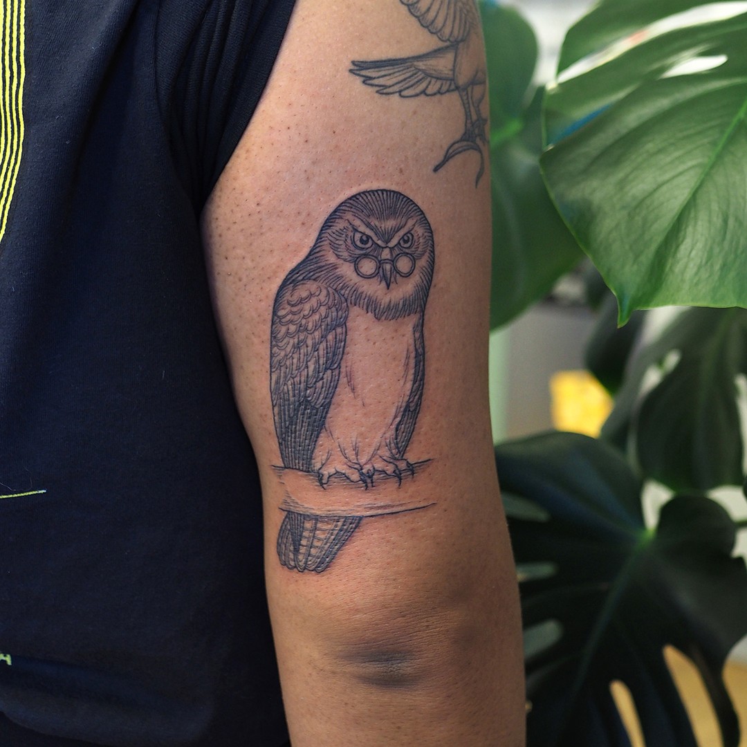 Intellectual Owl Design