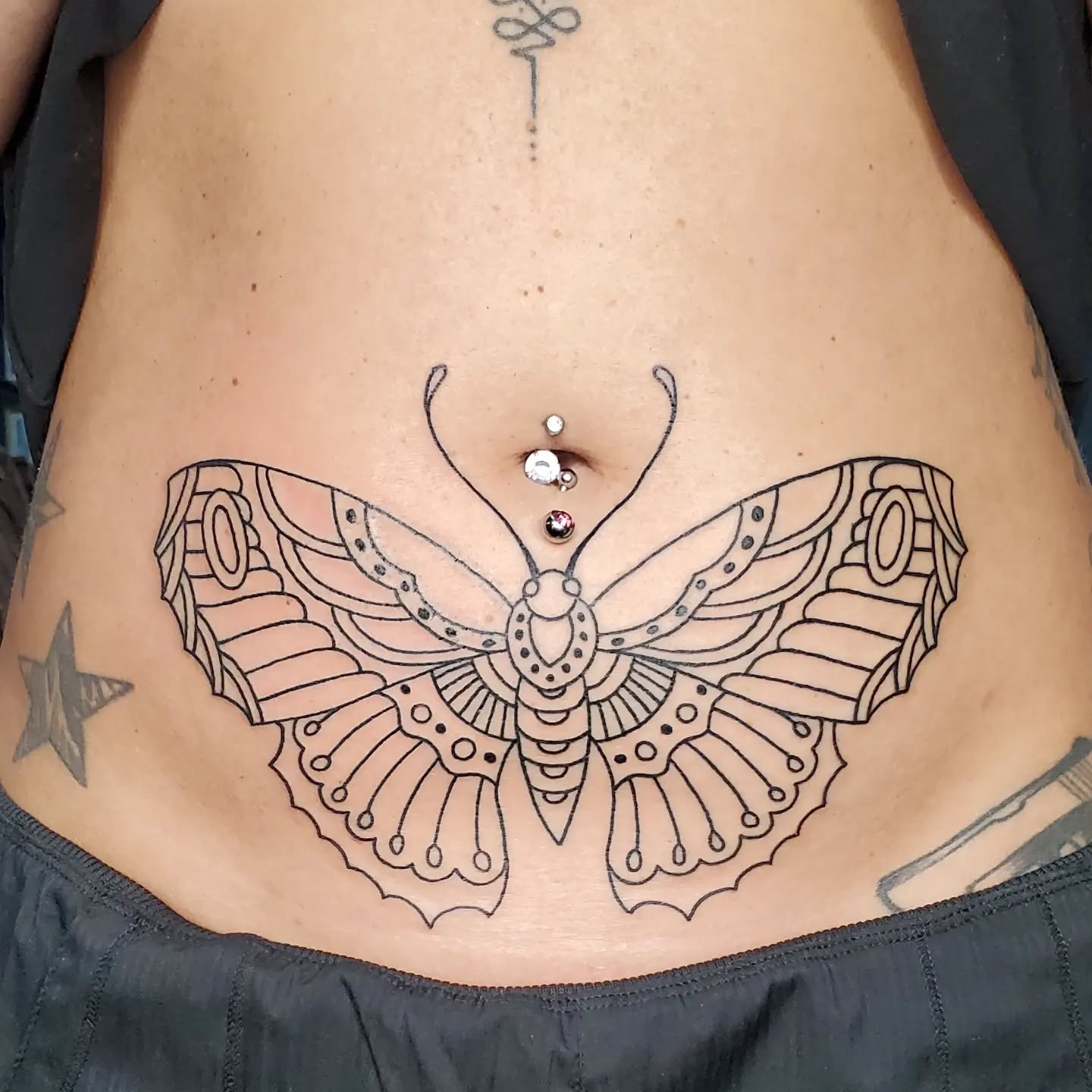 Intricate Butterfly Outline
