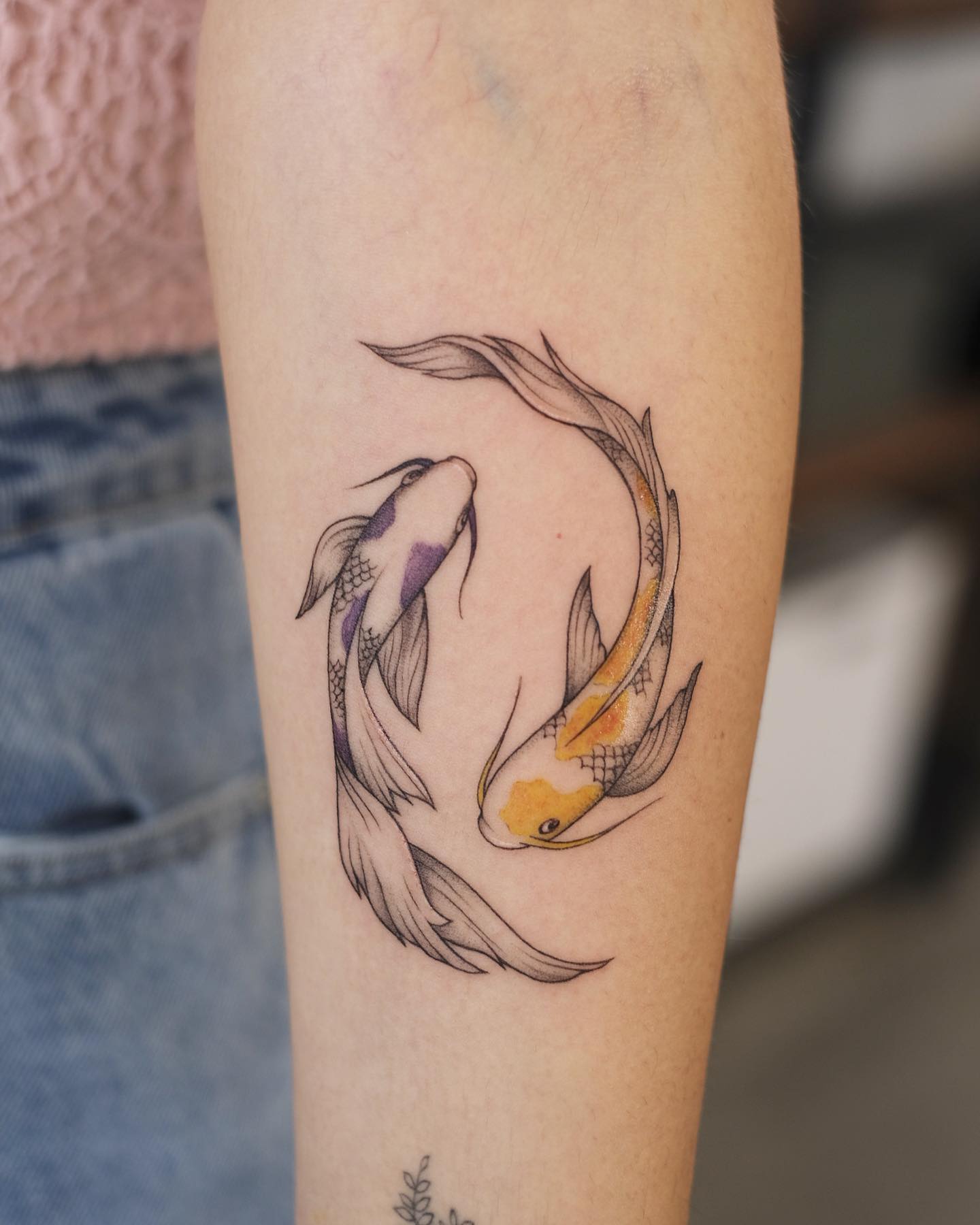 Pareja de Koi alzó