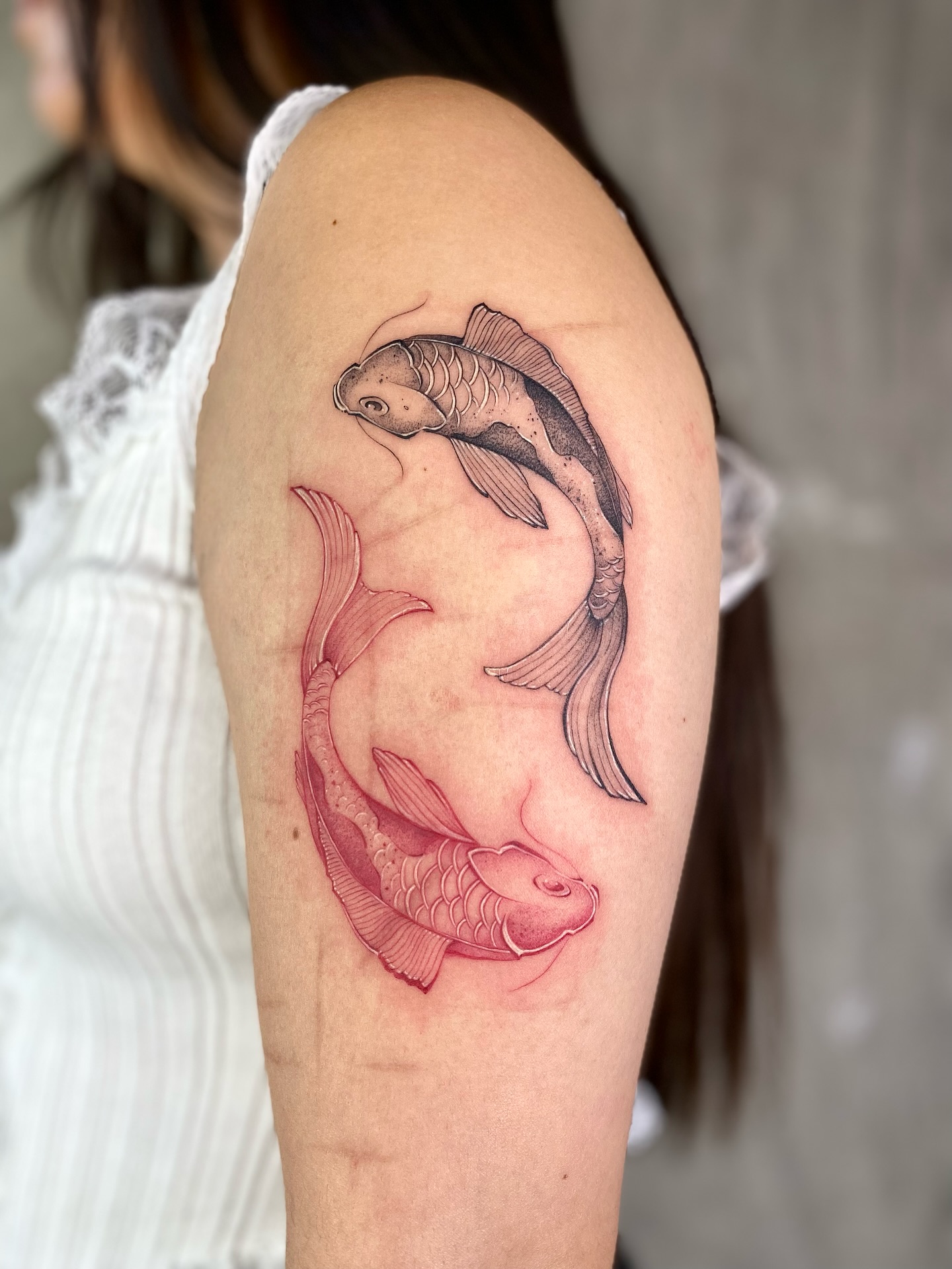 Koi Tricolor Del Río