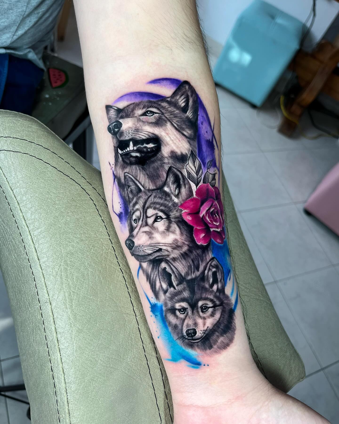 Lobos y Rosa Roja