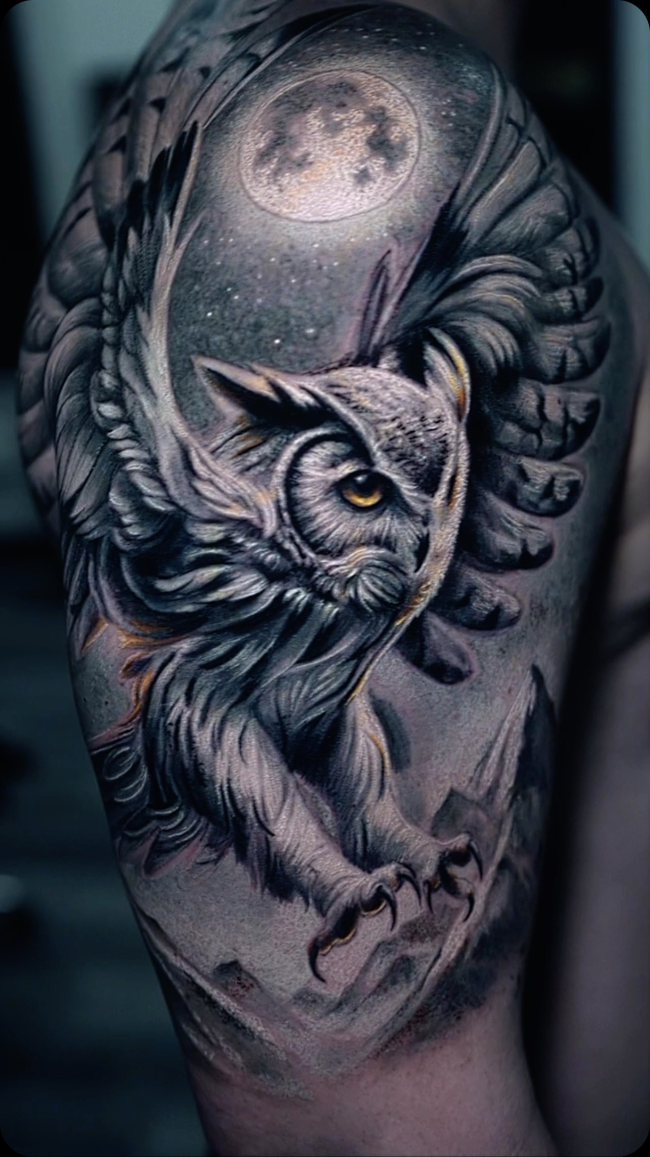 Majestic Owl in Flight