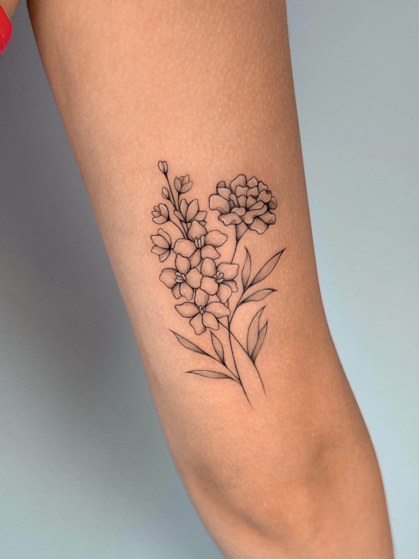 Marigold Botanical Linework