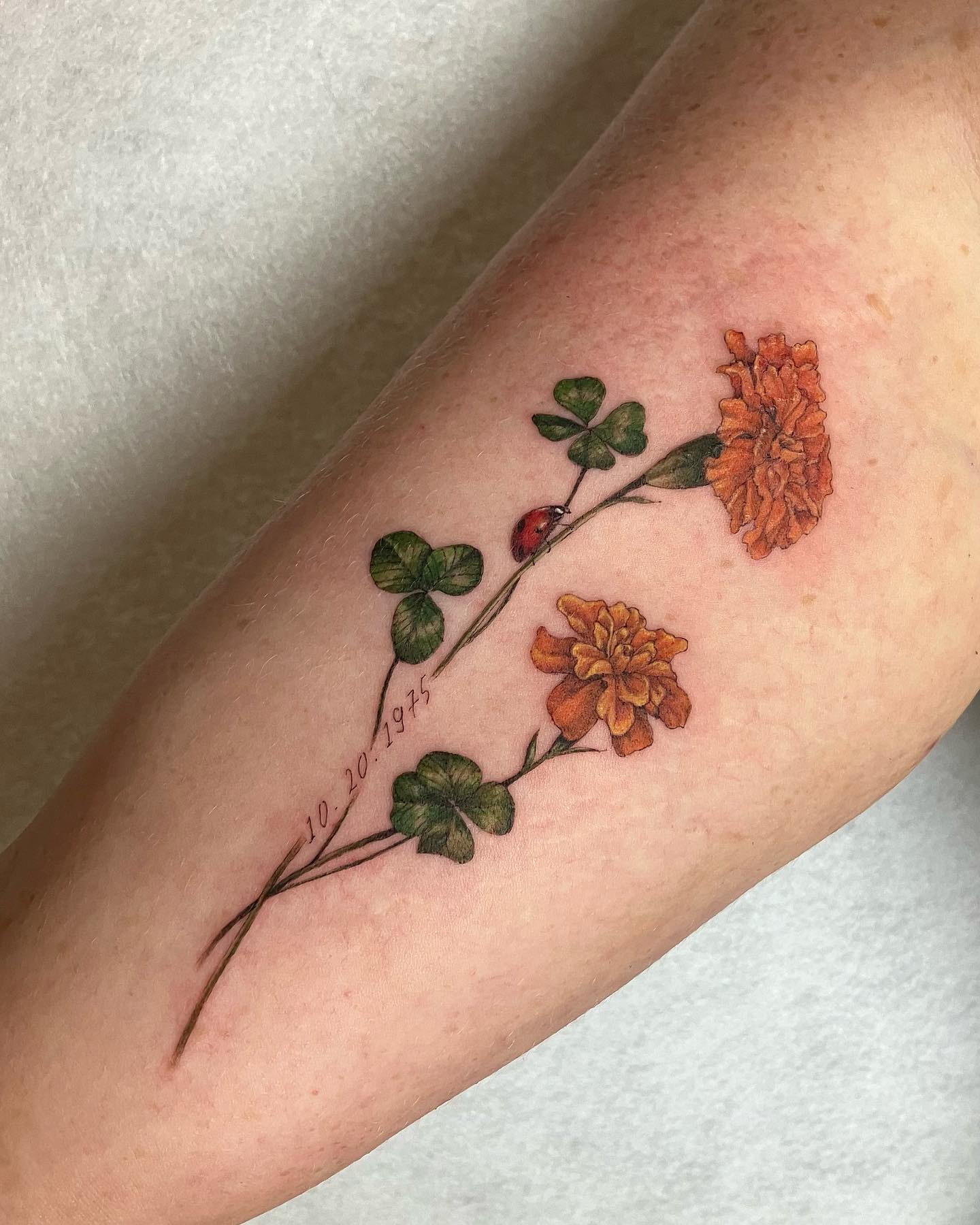 Marigold Blossom Branch