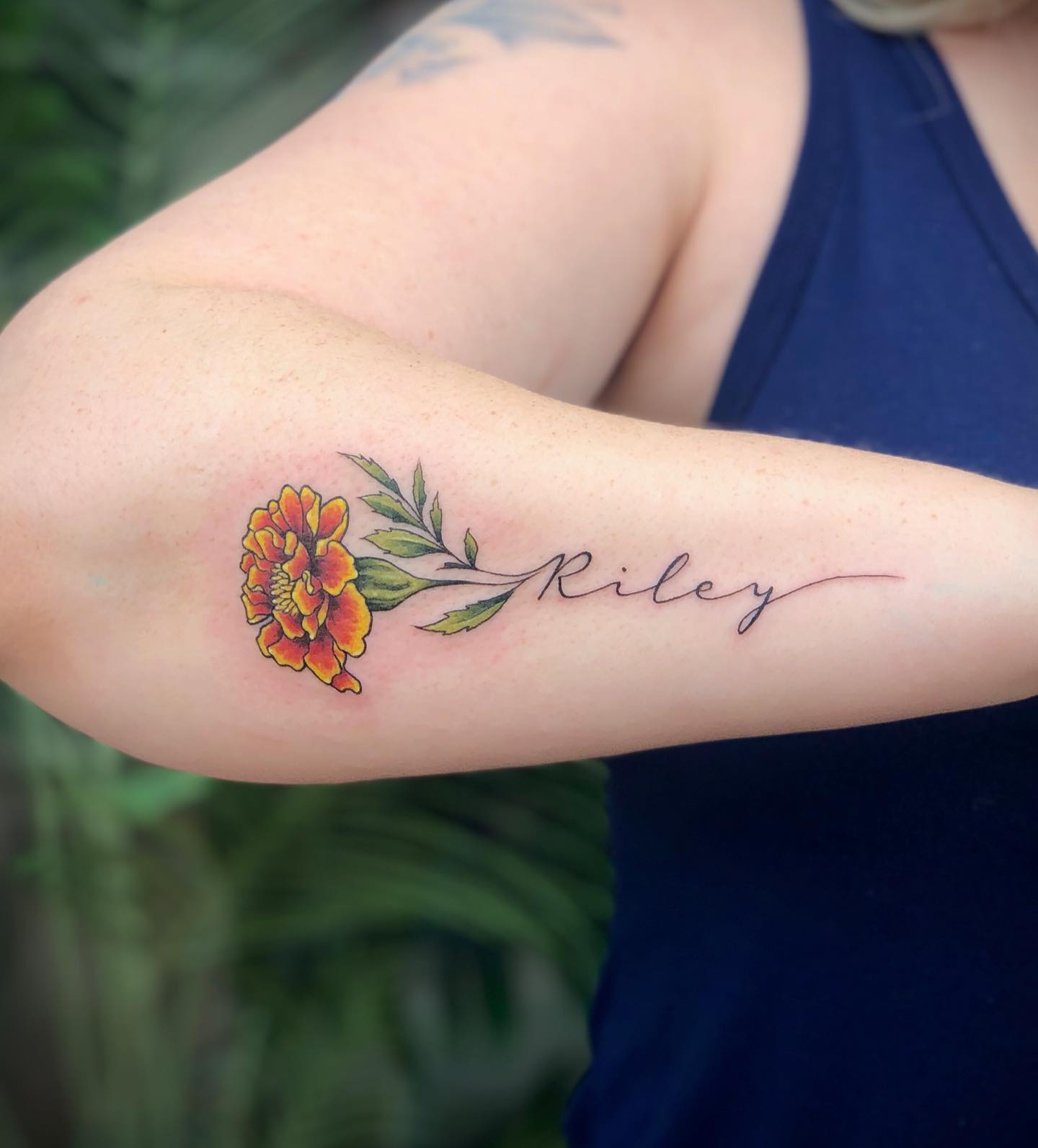 Marigold Bloom & Name