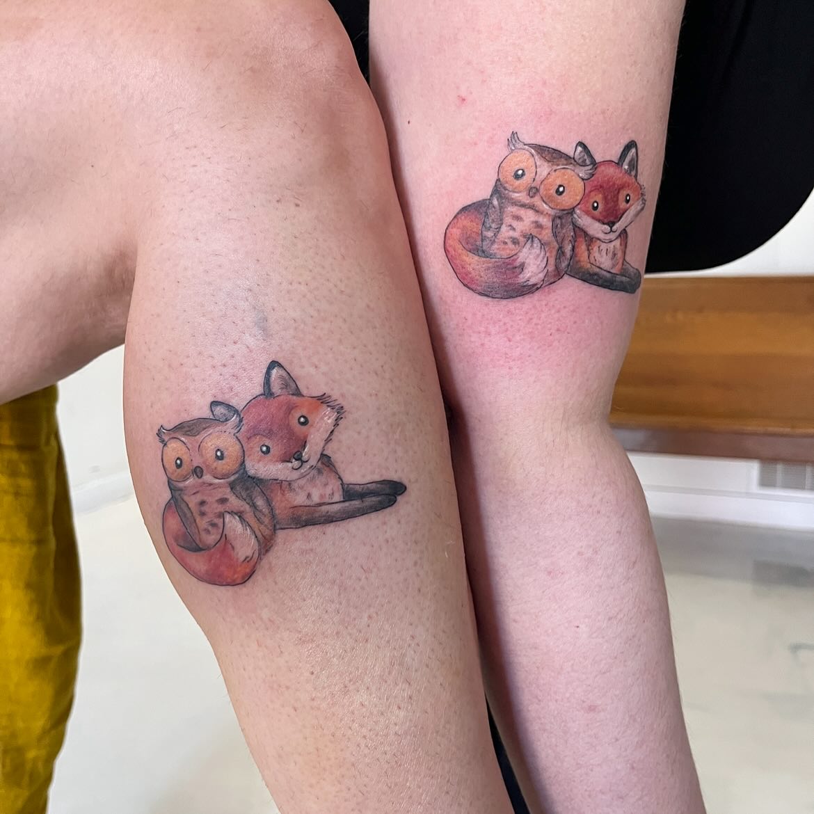 Matching Owl and Fox