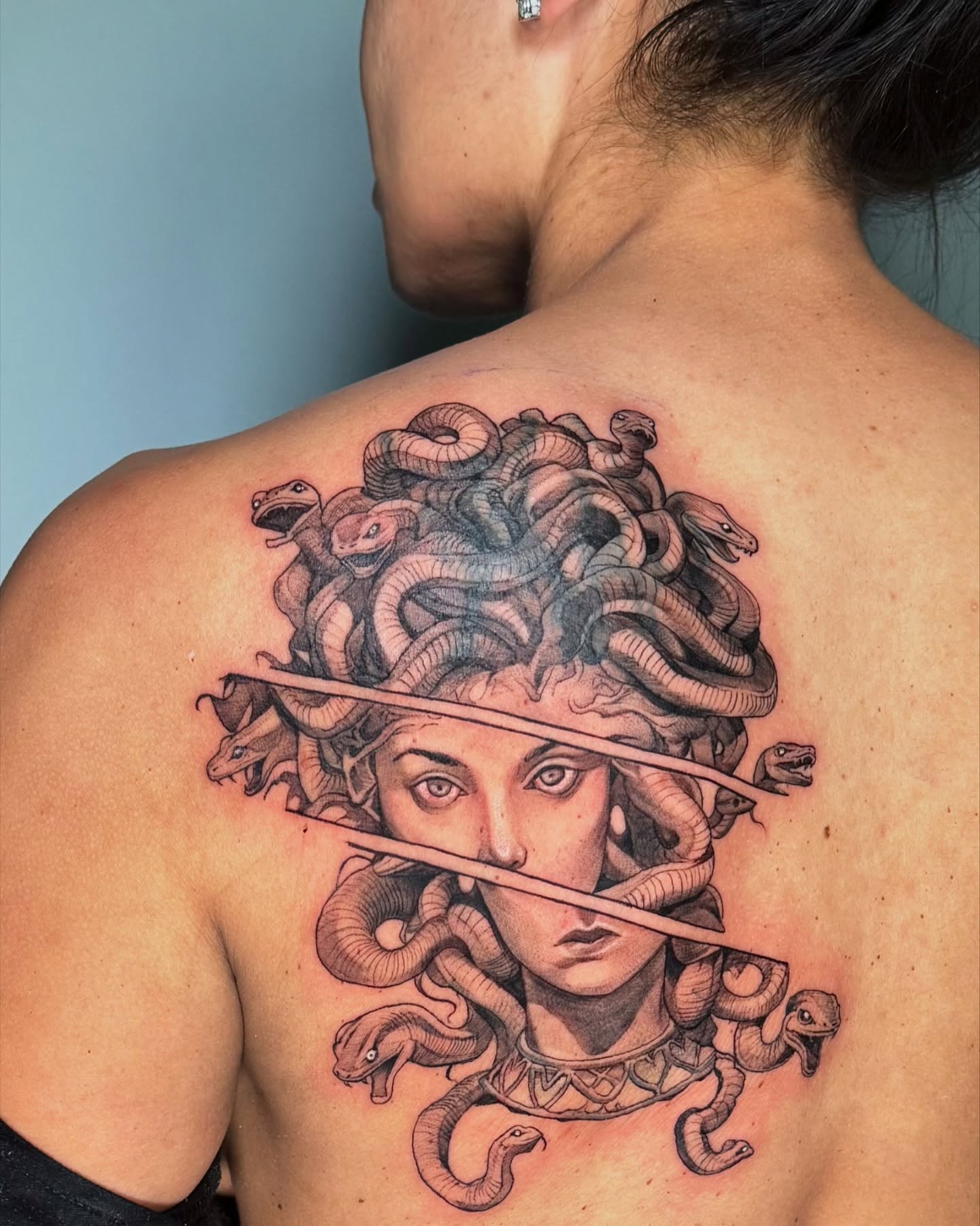 Medusa Snake Banner