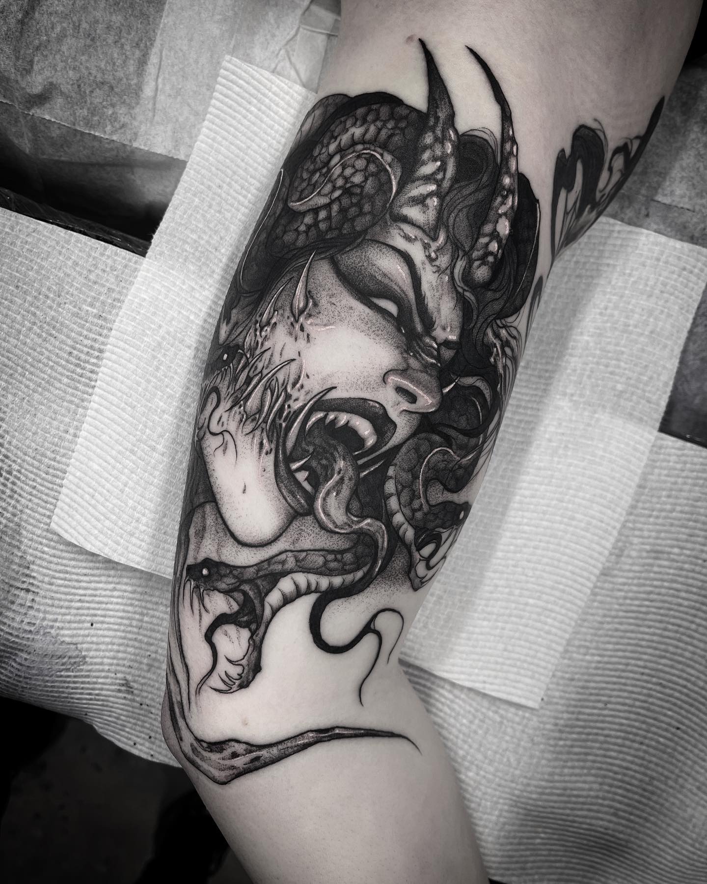 Medusa Serpent Portrait